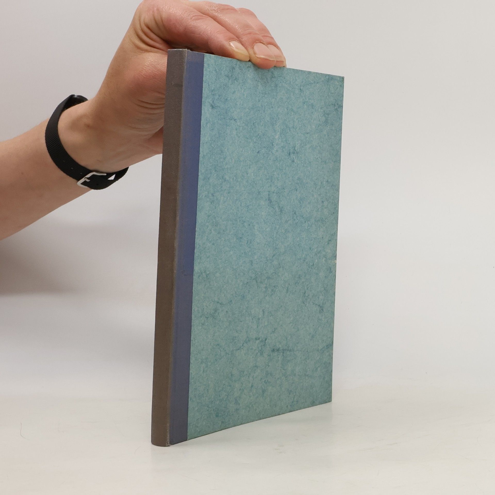 Autorenkollektiv Fragebuch für die beirischen mundarten in Österreich