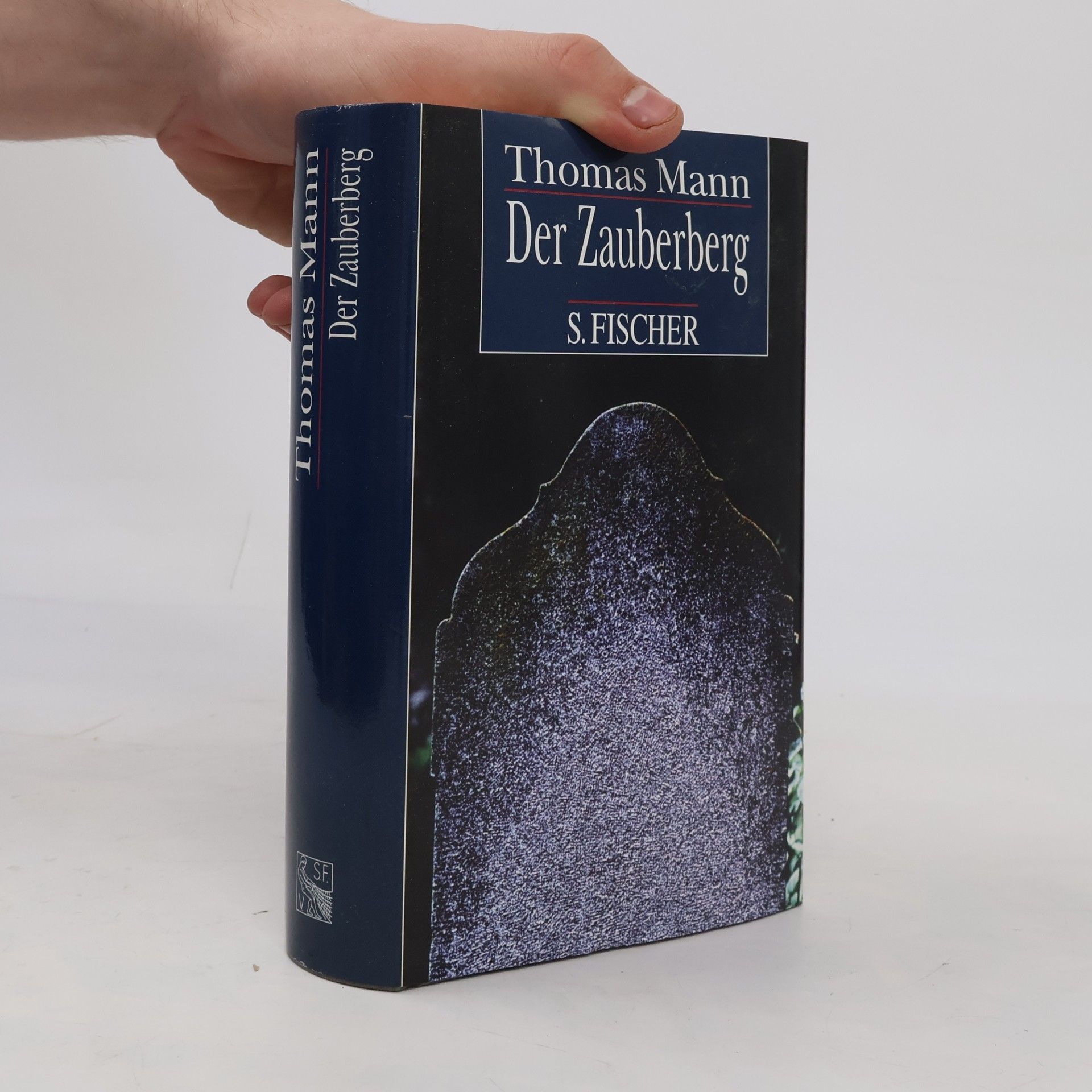 Thomas Mann Der Zauberberg