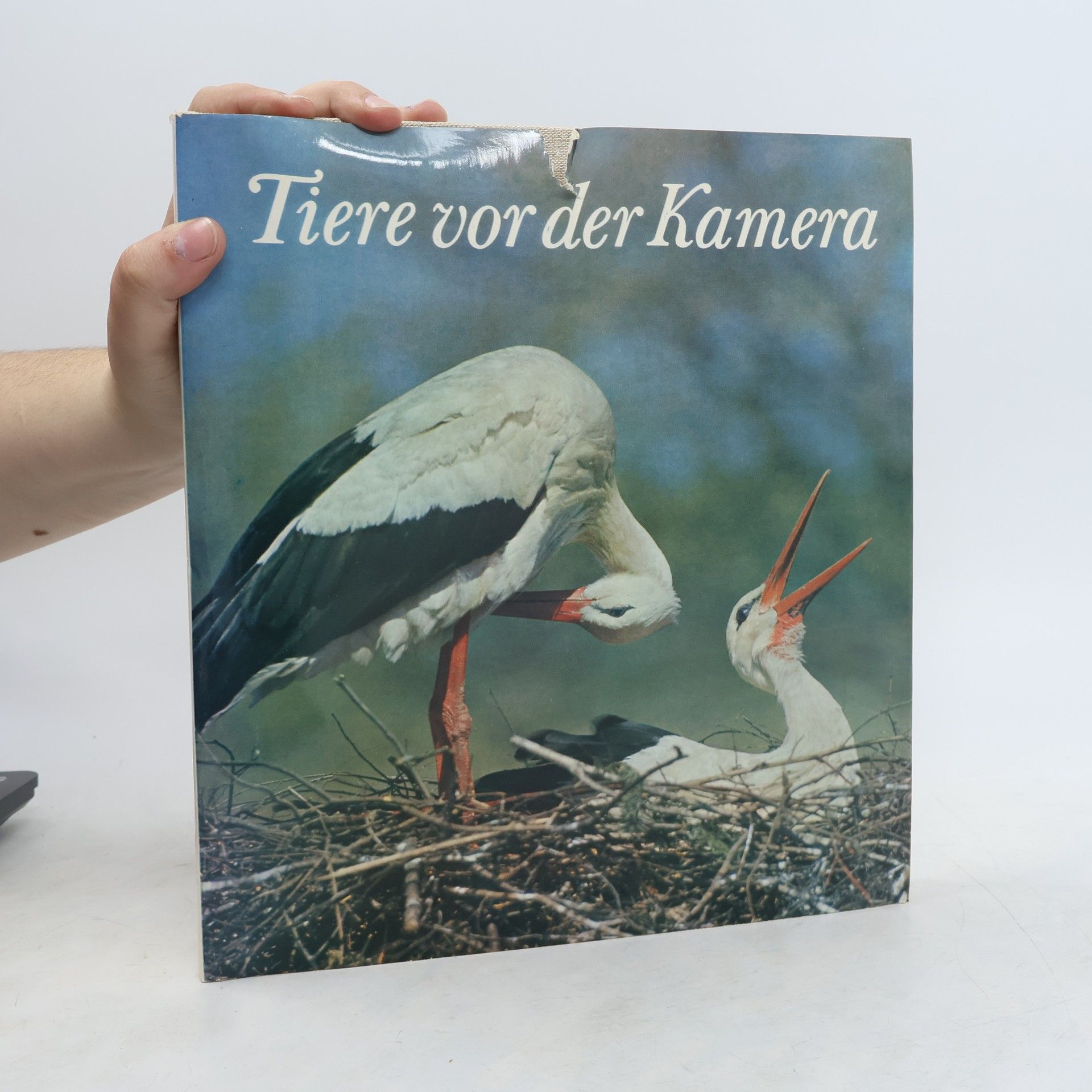 AA.VV. Tiere vor der Kamera
