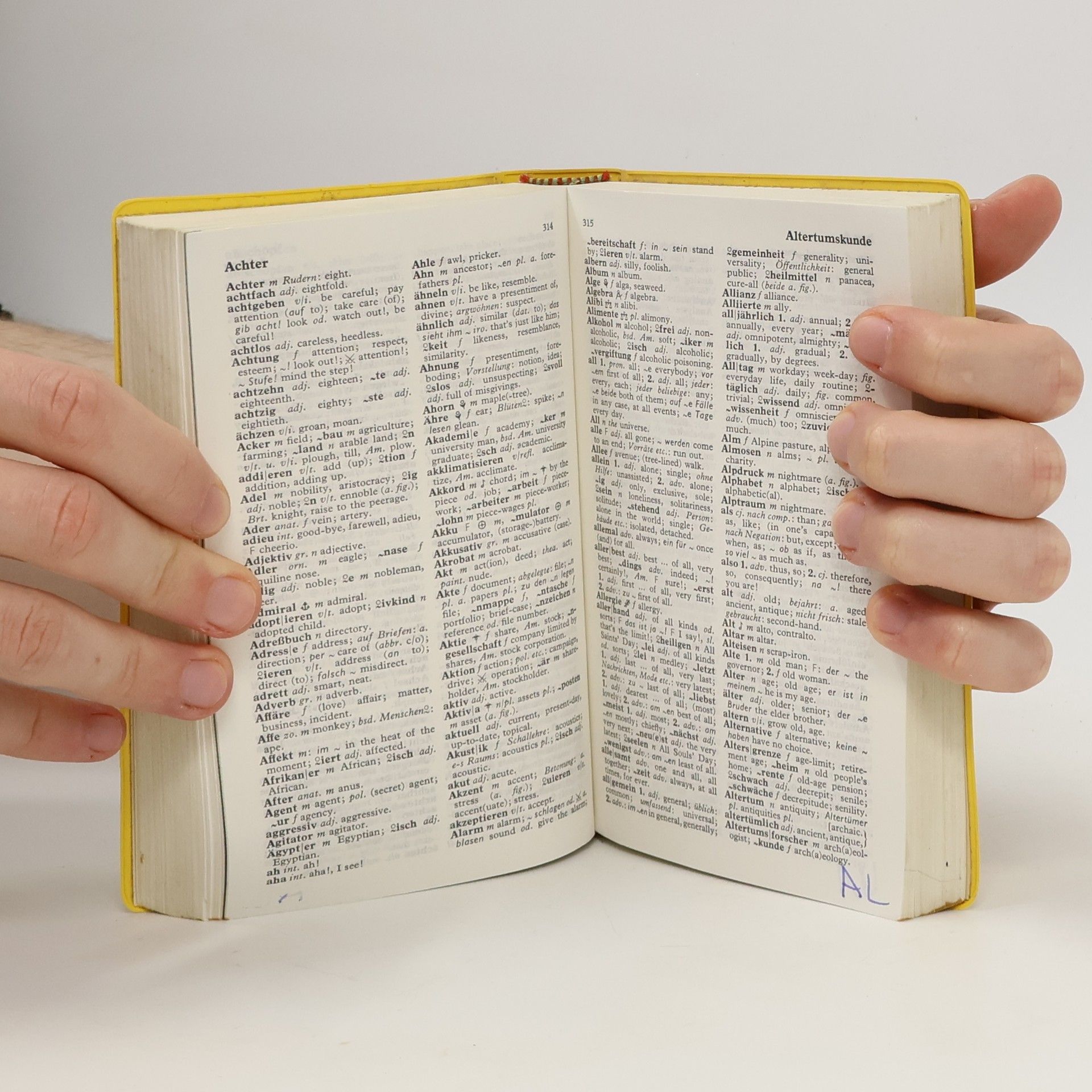 Kolektiv autorů Langenscheidts Schulworterbuch Englisch