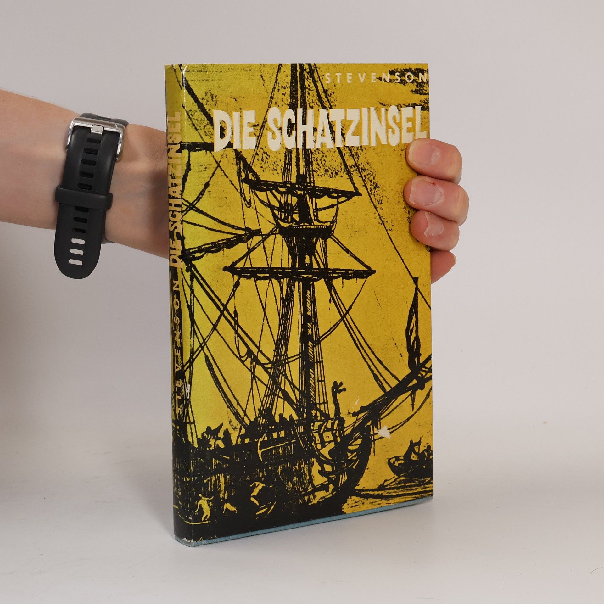 Robert Louis Stevenson Die Schatzinsel
