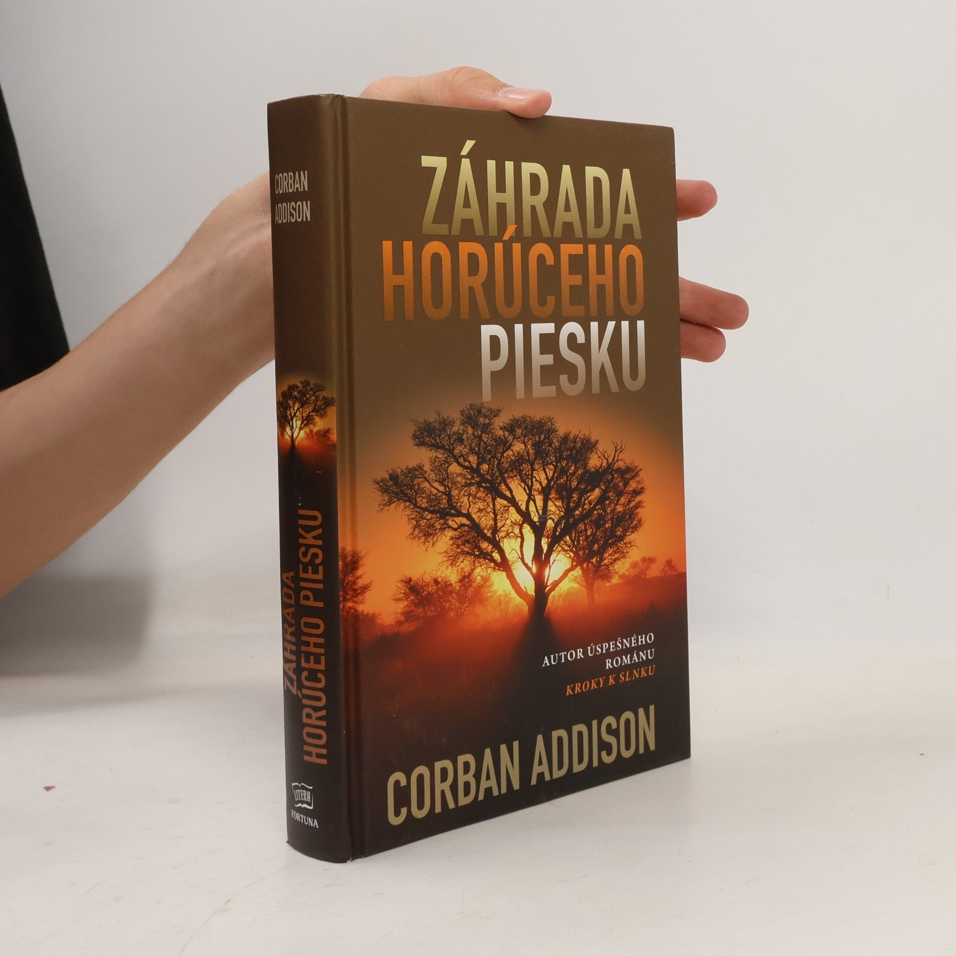 Corban Addison Záhrada horúceho piesku