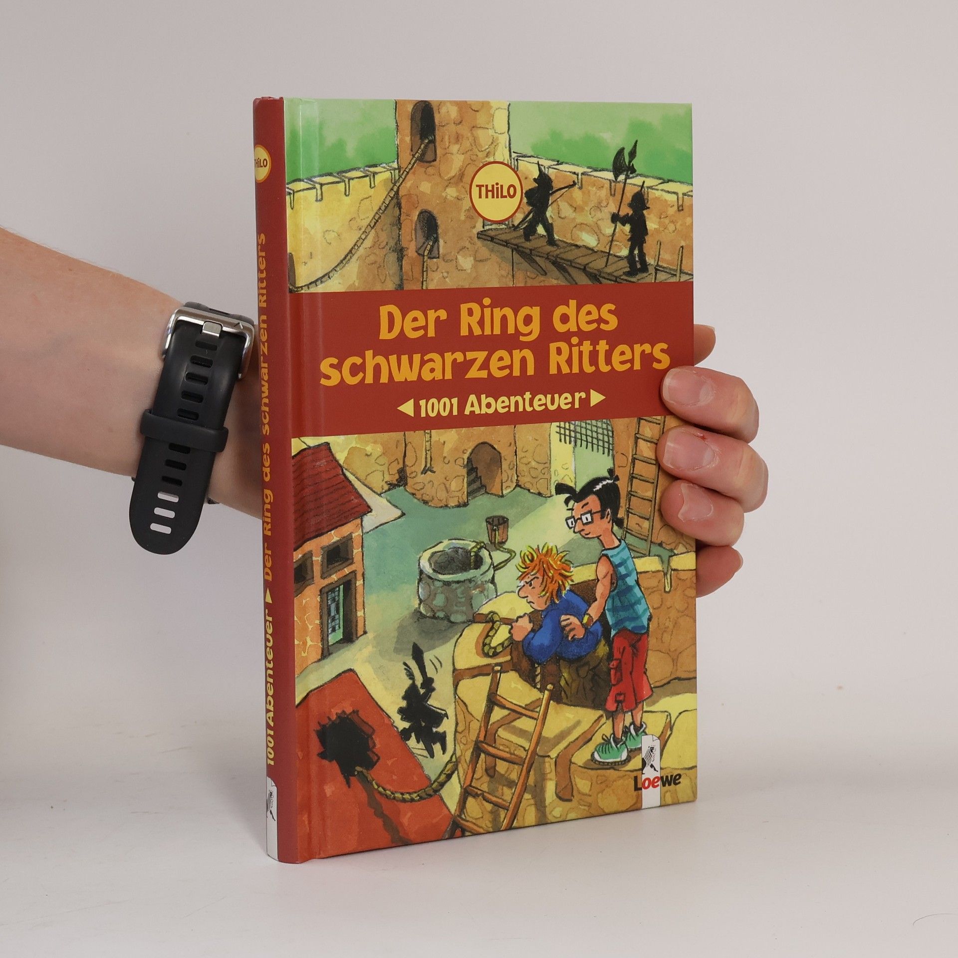 Thilo Petry-Lassak Der Ring des schwarzen Ritters