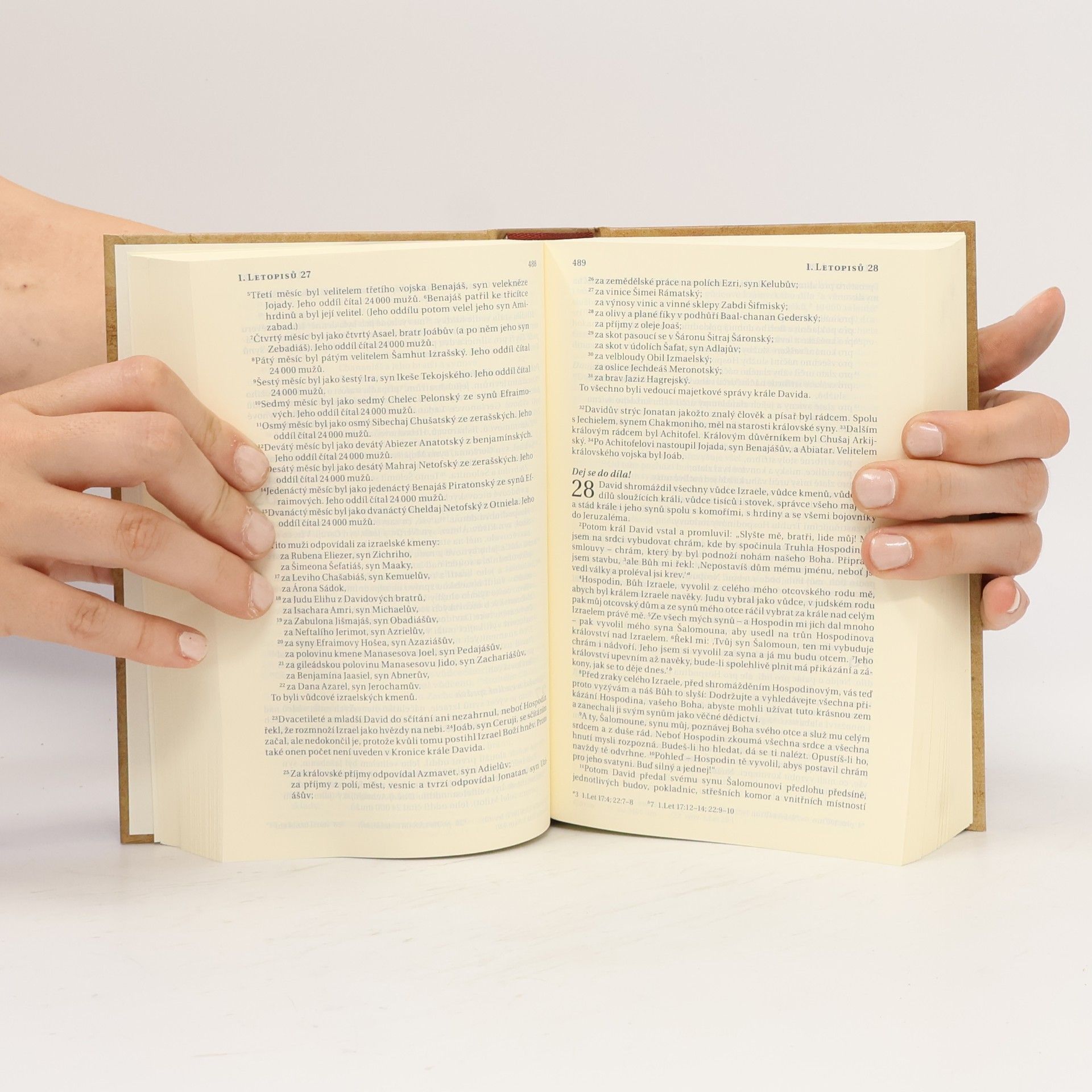 Kolektiv autorů Bible. Překlad 21. století