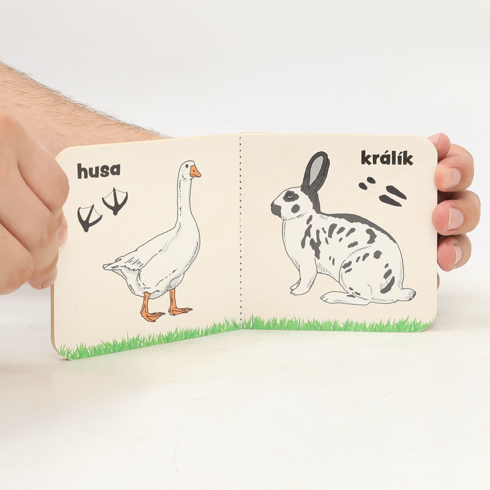 Various authors Zvířata ze statku a jejich stopy
