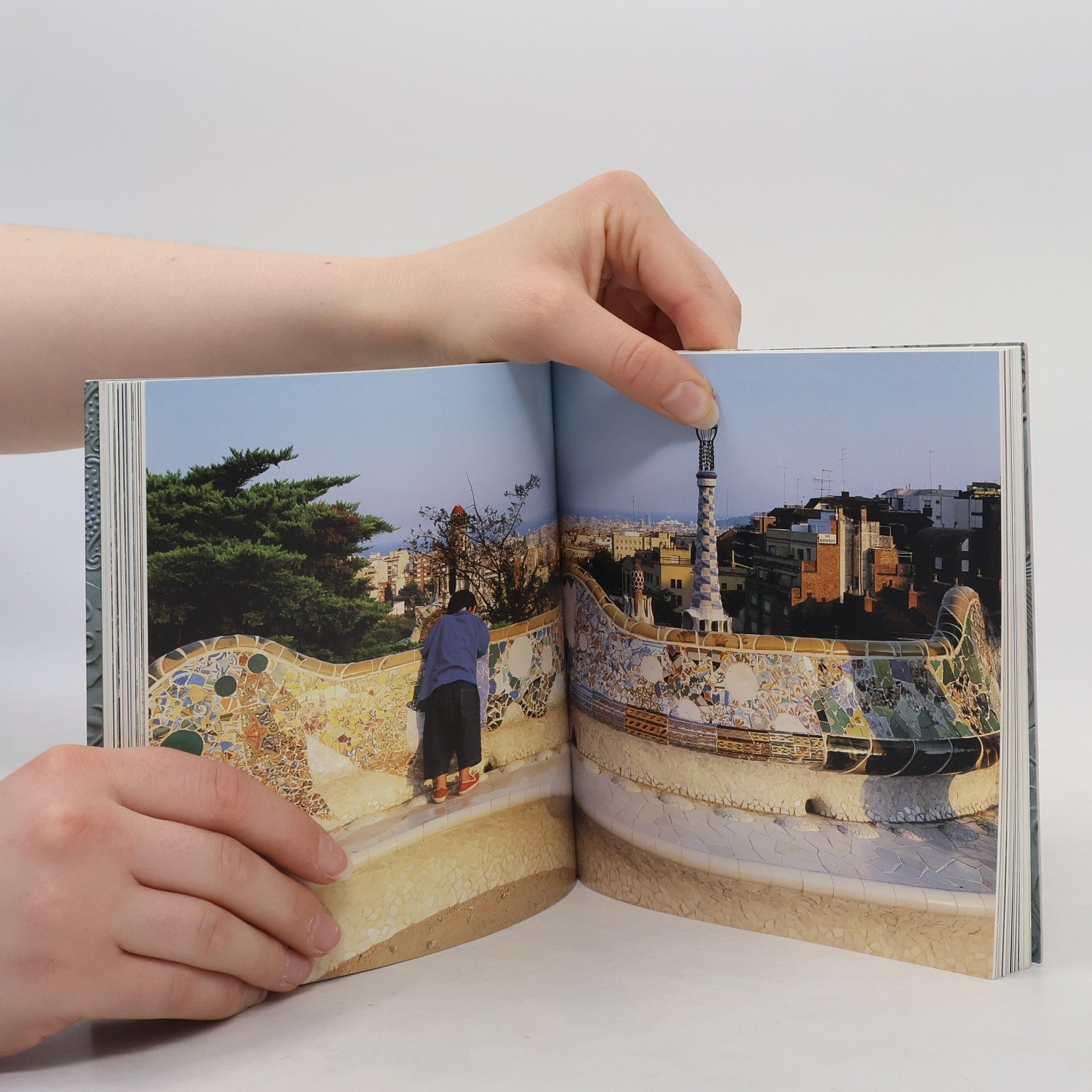 Juan-Eduardo Cirlot Gaudí