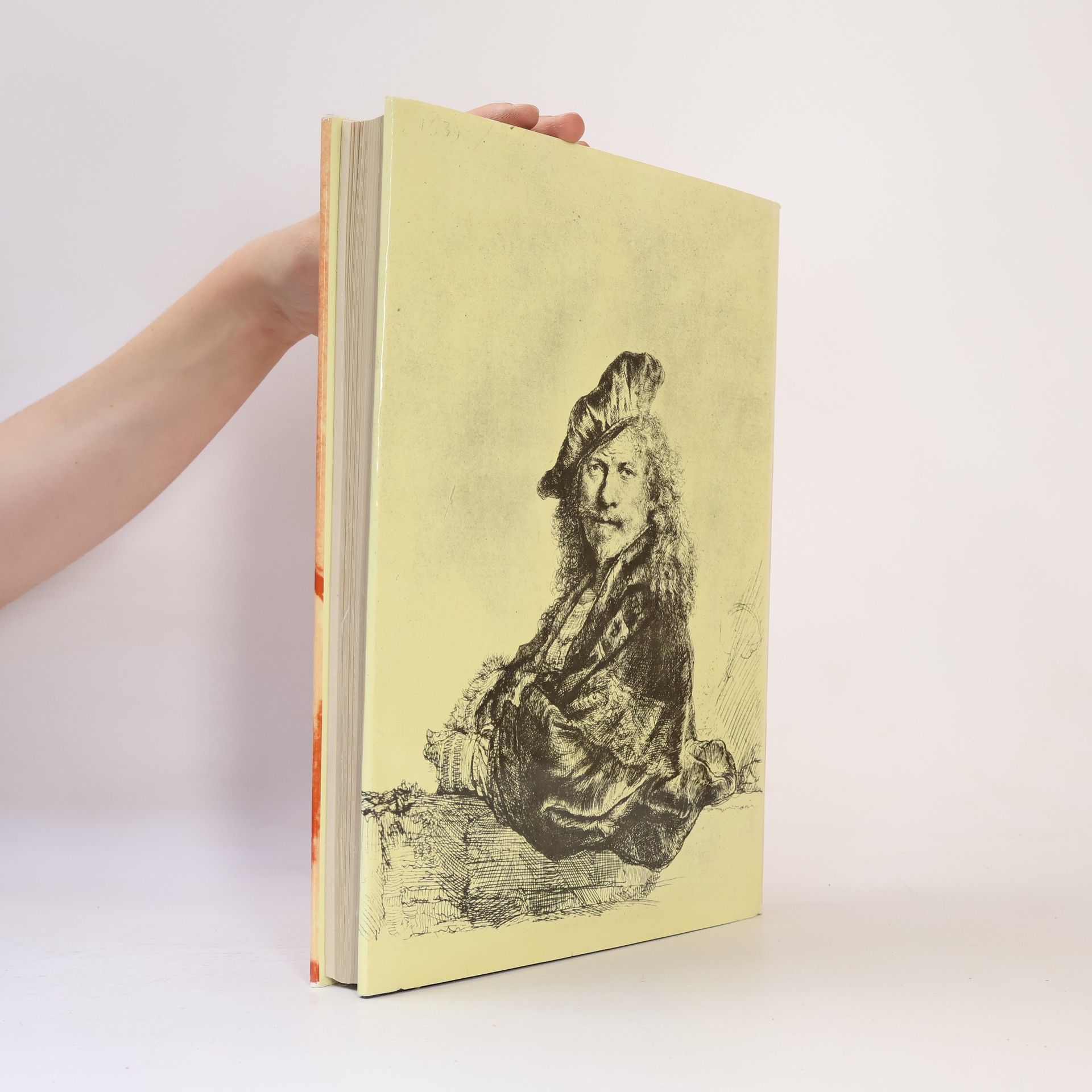 Alice Denešová Rembrandt : etchings and drawings