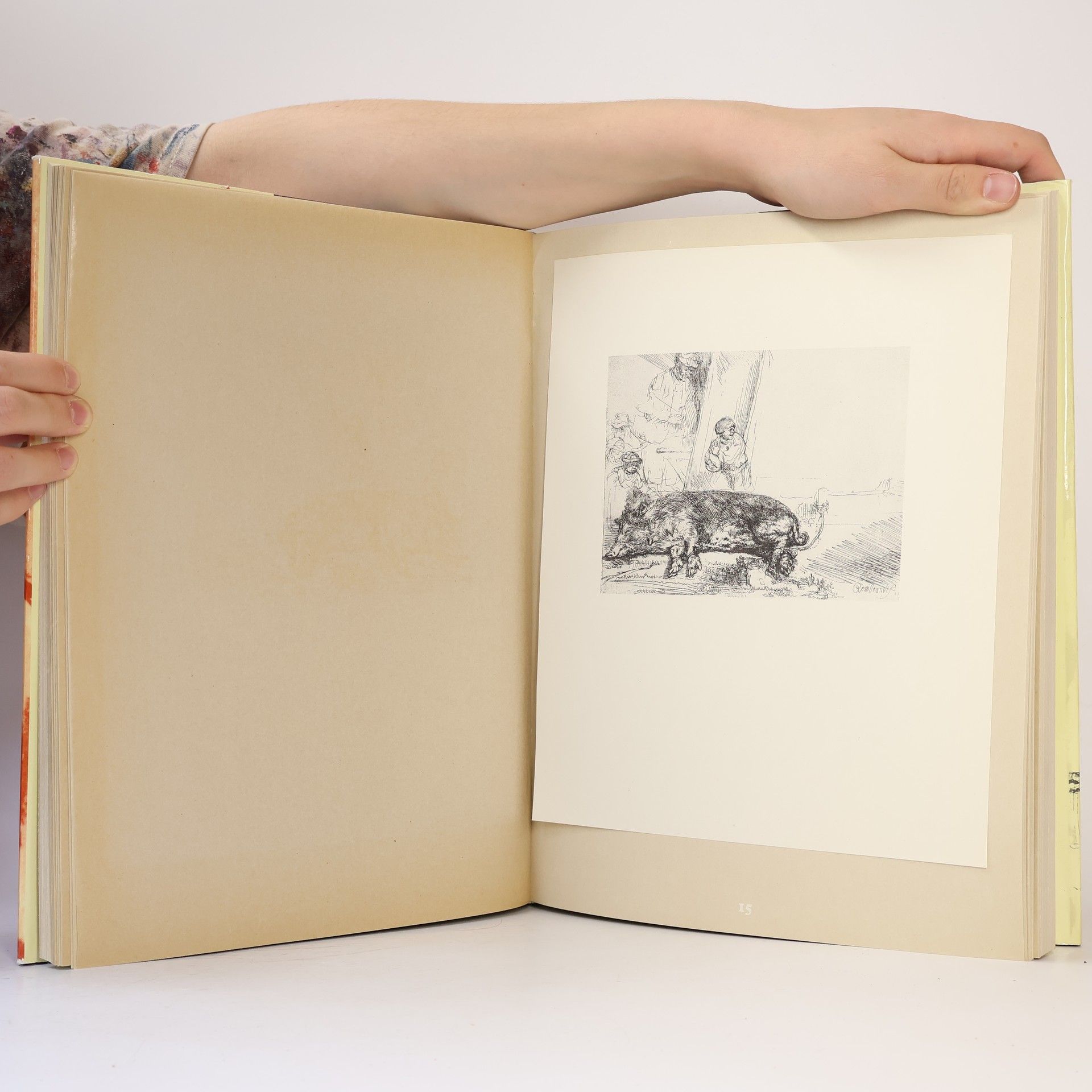 Alice Denešová Rembrandt : etchings and drawings