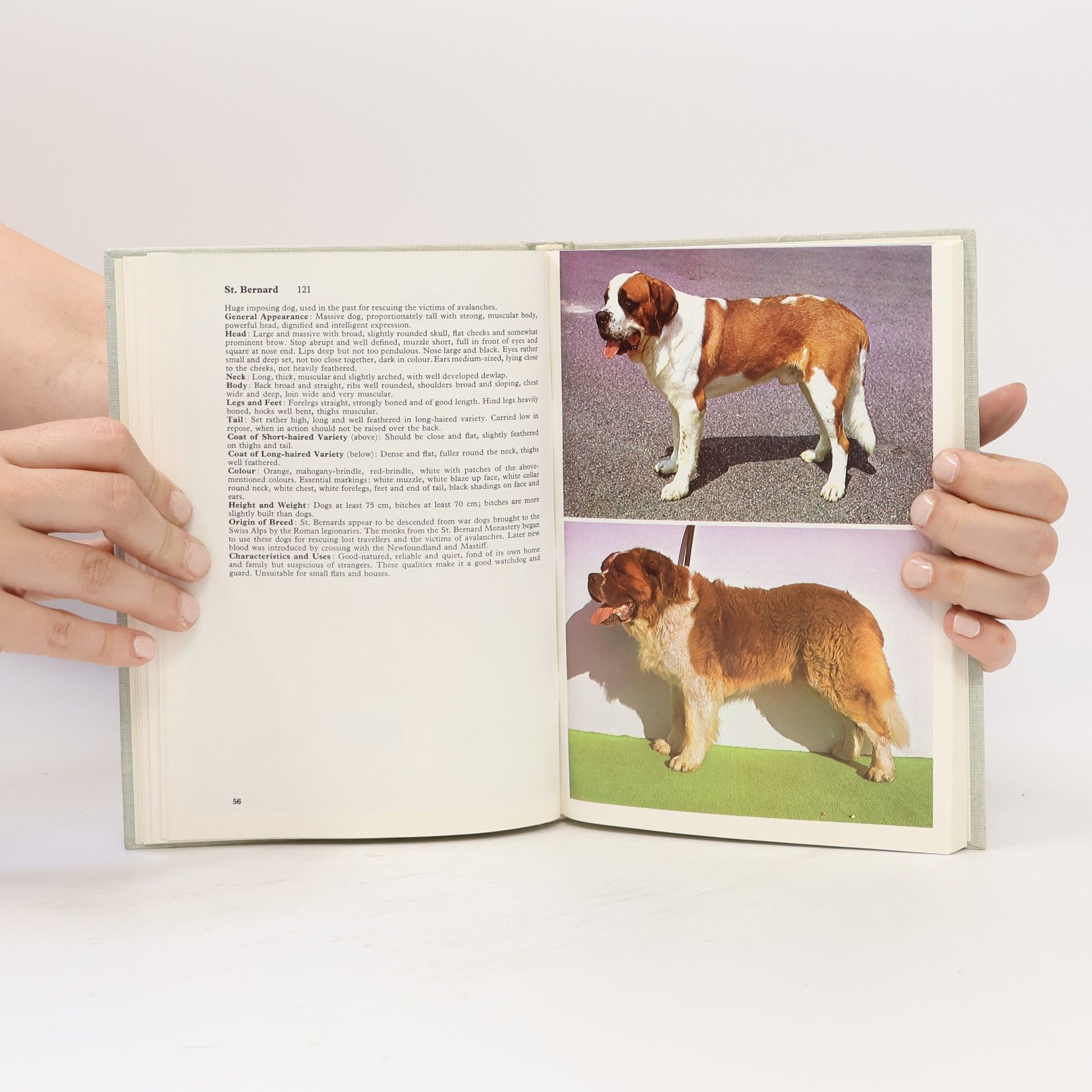 J. Novotný A Field Guide in Colour to Dogs