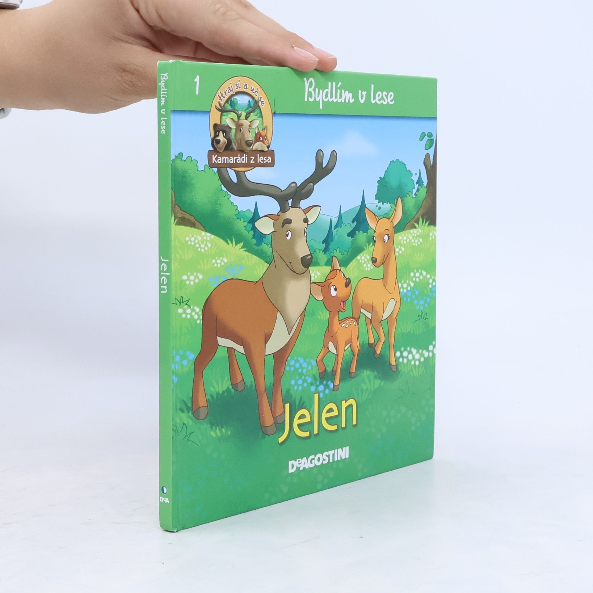 Kolektiv autorů Bydlím v lese - jelen