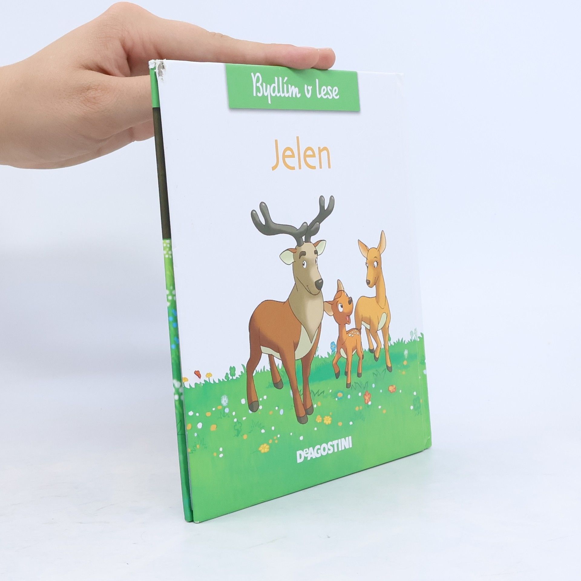 Kolektiv autorů Bydlím v lese - jelen