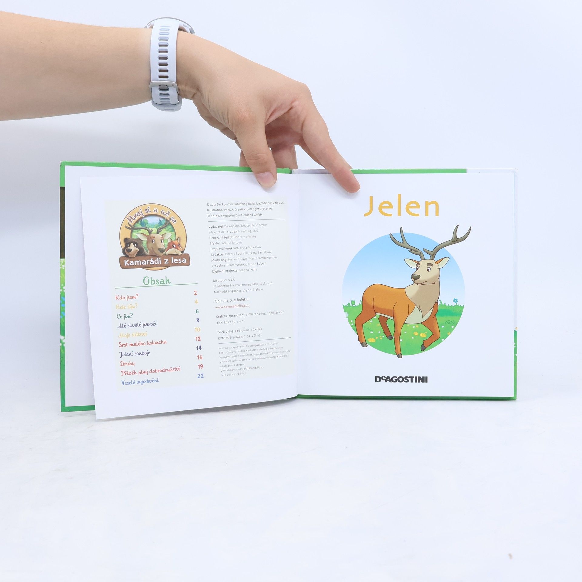 Kolektiv autorů Bydlím v lese - jelen
