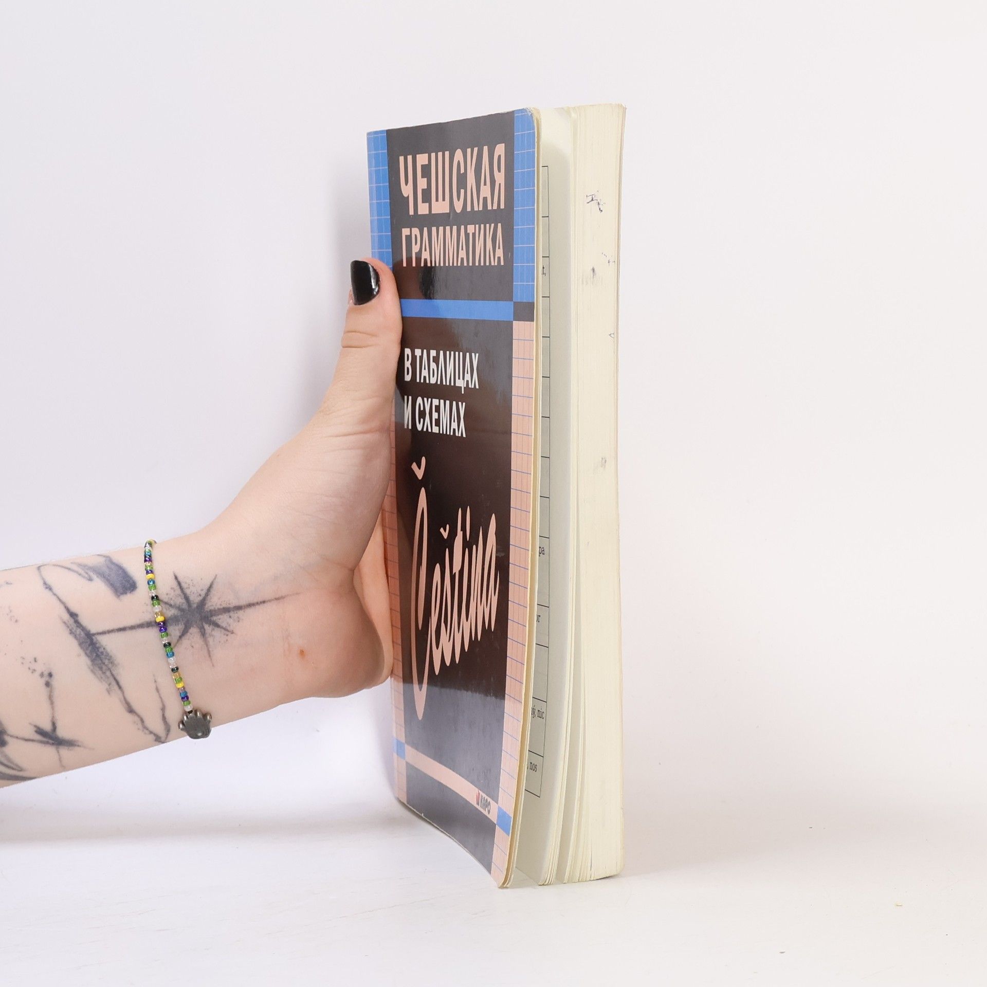 V.S Knyaznyakov Чешская грамматика в таблицах и схемах (Česká gramatika v tabulkách a schématech)
