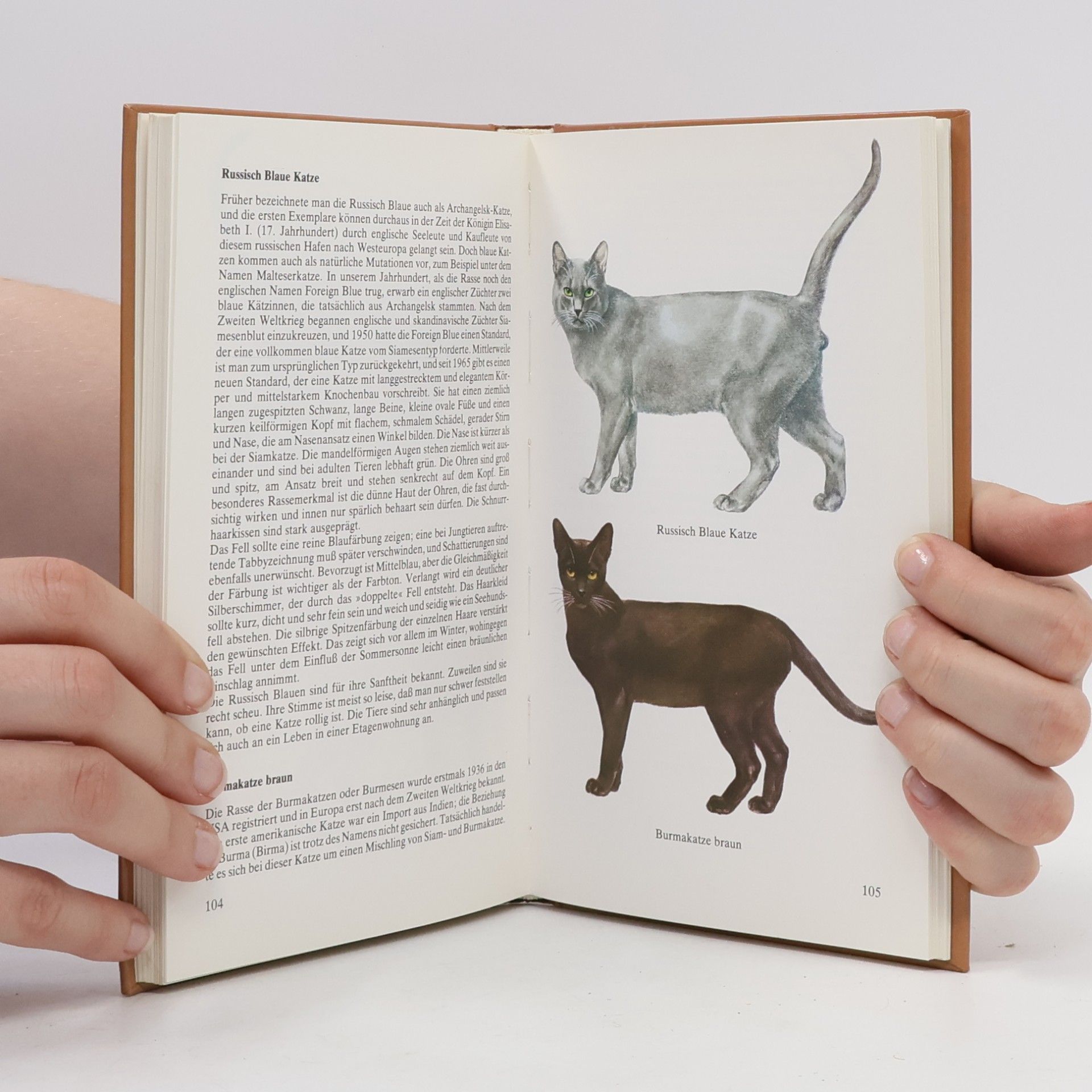 Howard Loxton Katzenrassen der Welt
