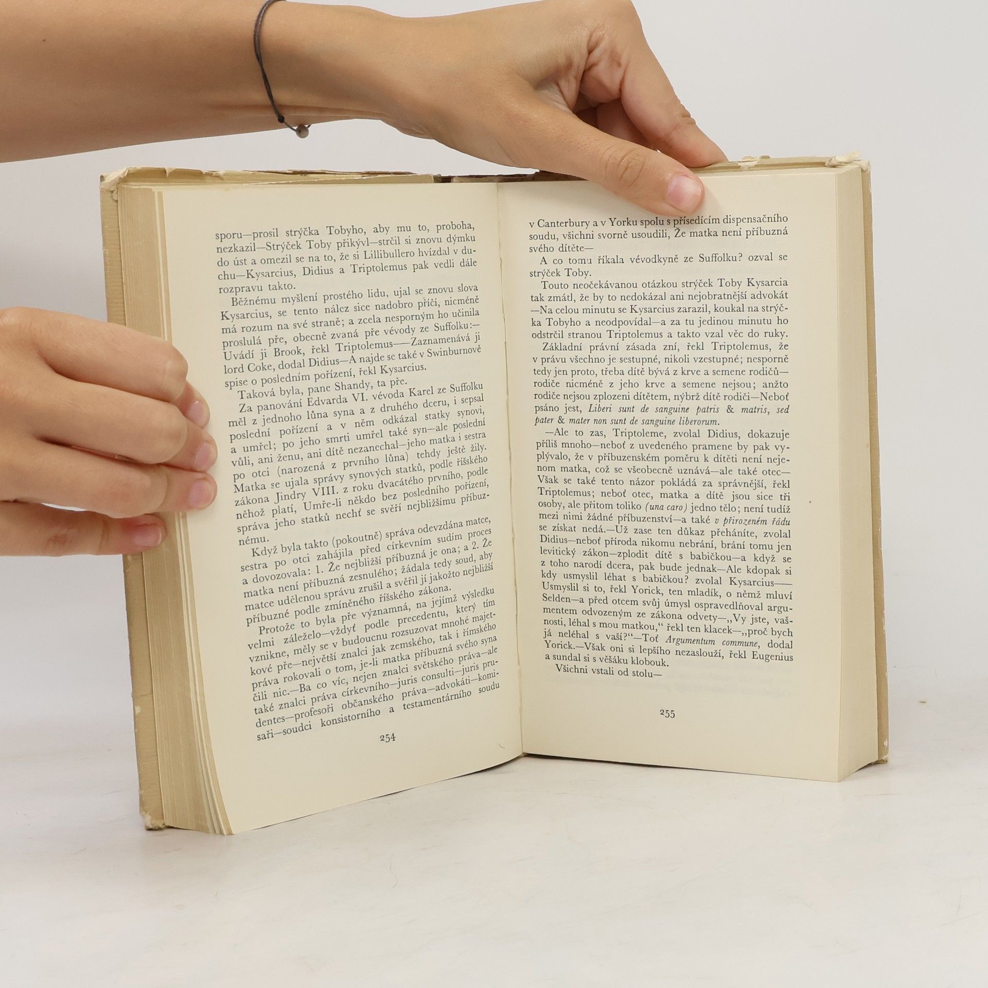 Laurence Sterne Život a názory blahorodého pana Tristrama Shandyho
