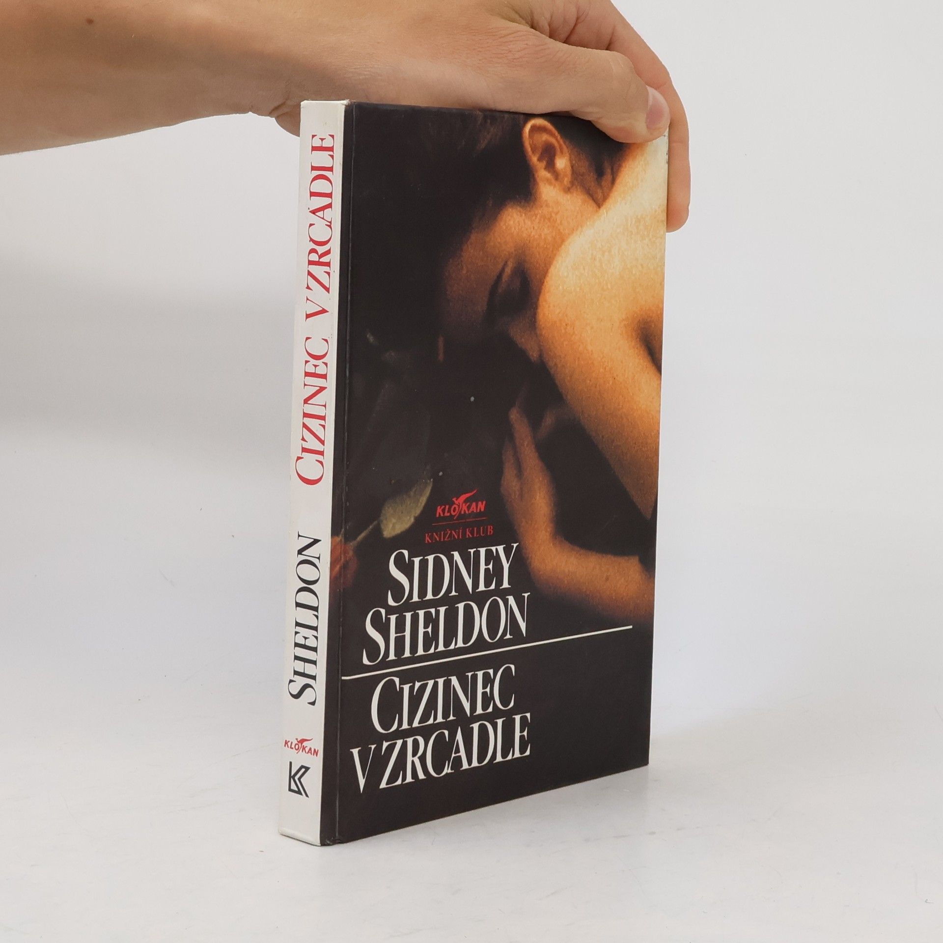 Sidney Sheldon Cizinec v zrcadle