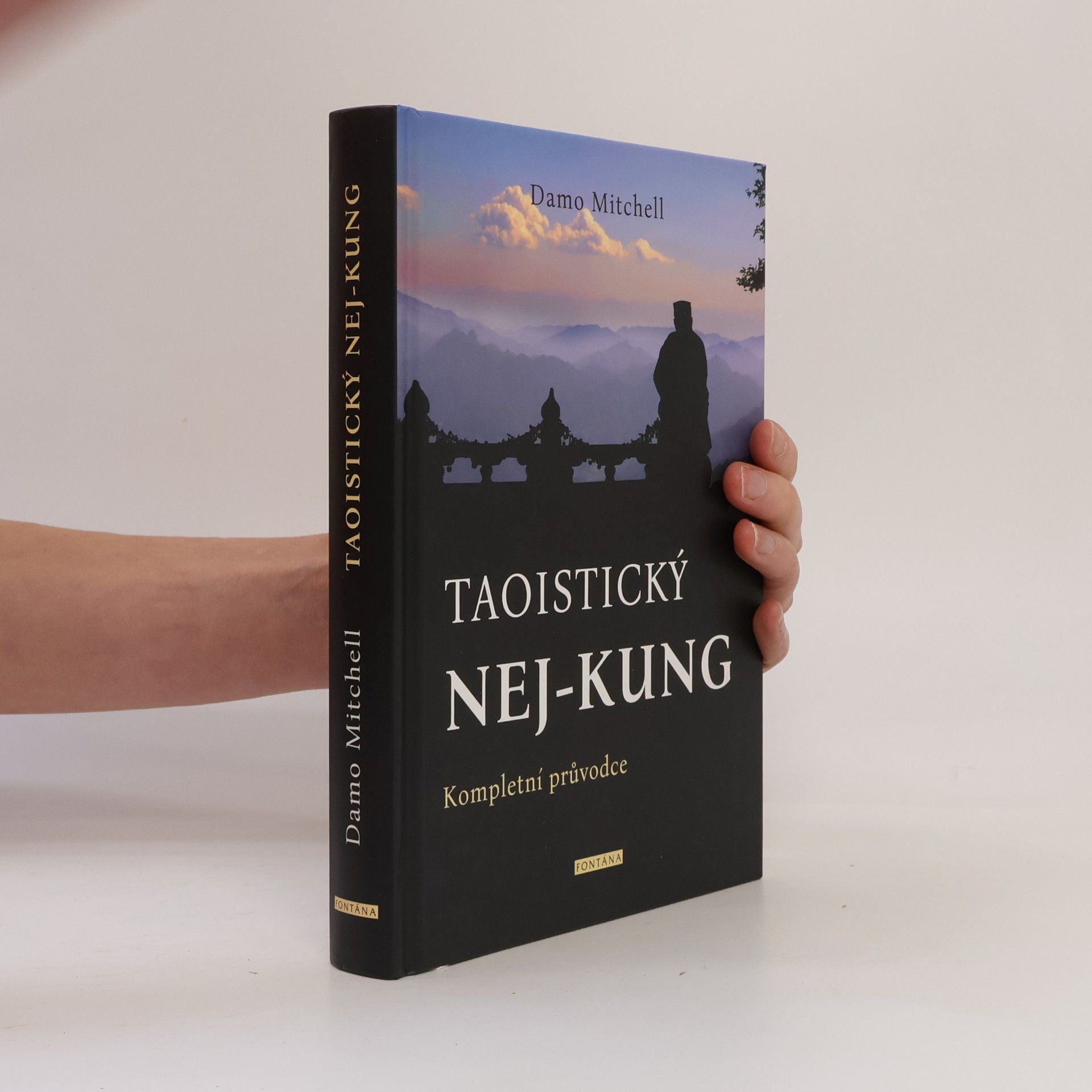 Damo Mitchell Taoistický ne-kung - Kompletní průvodce