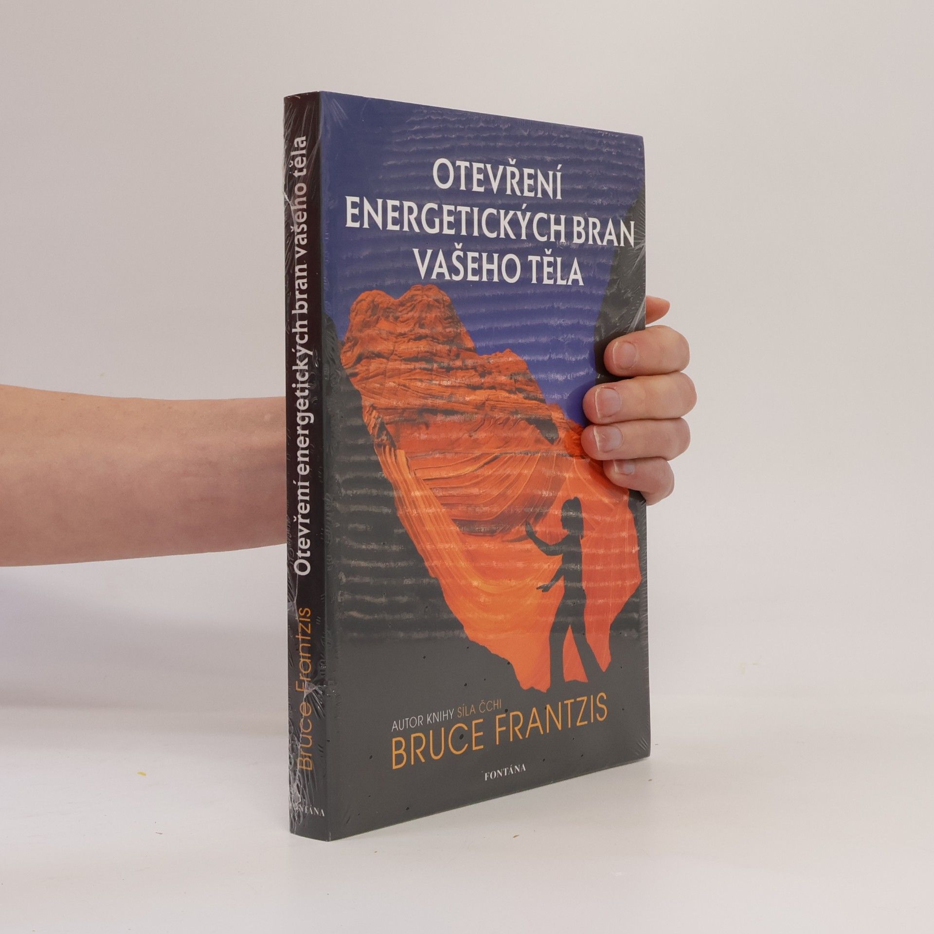 Bruce Kumar Frantzis Otevření energetických bran vašeho těla