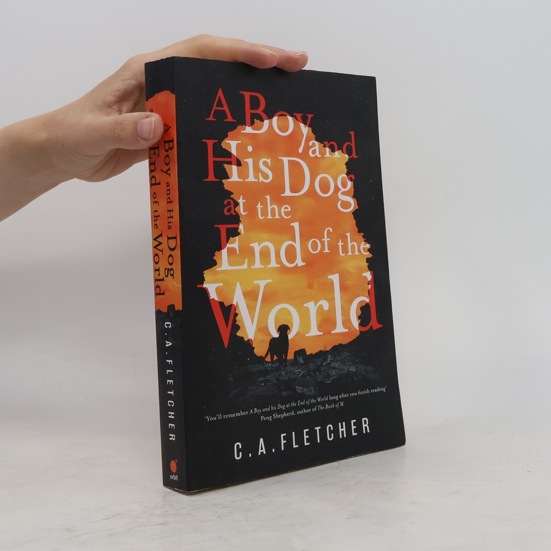C. A. Fletcher A Boy and His Dog at the End of the World