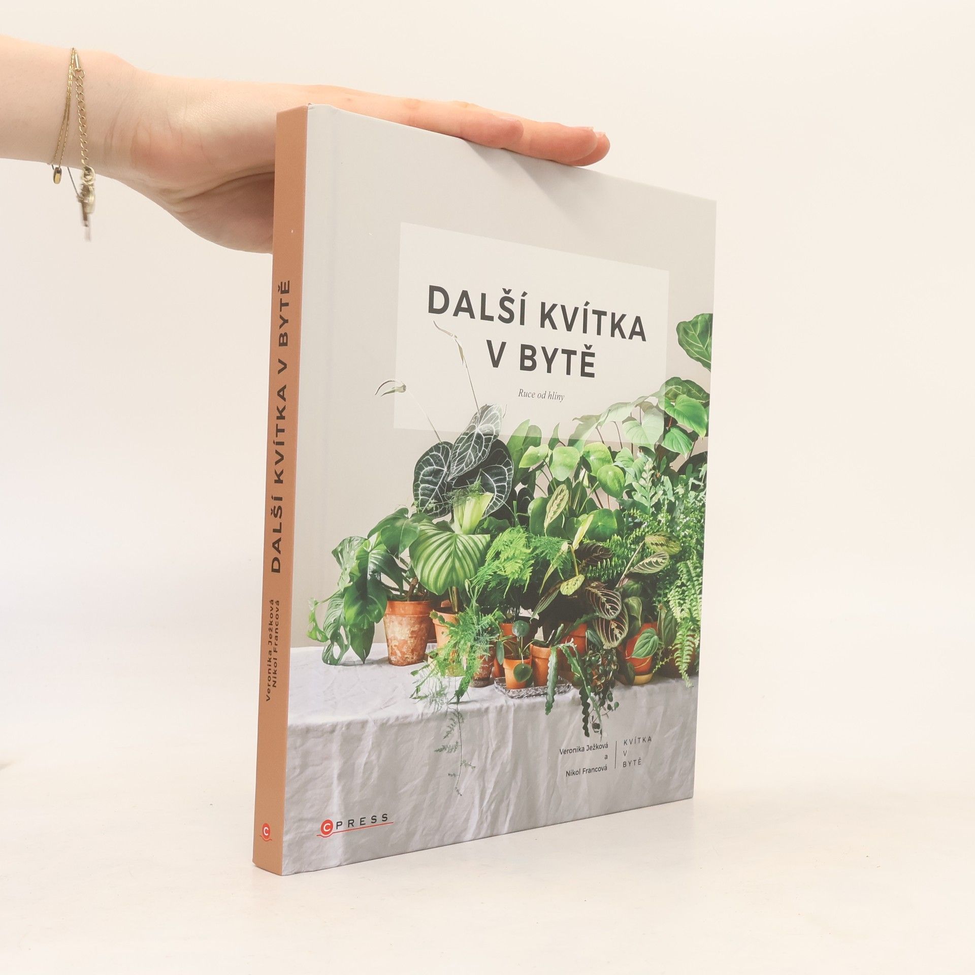 Nikol Francová Další kvítka v bytě : Ruce od hlíny
