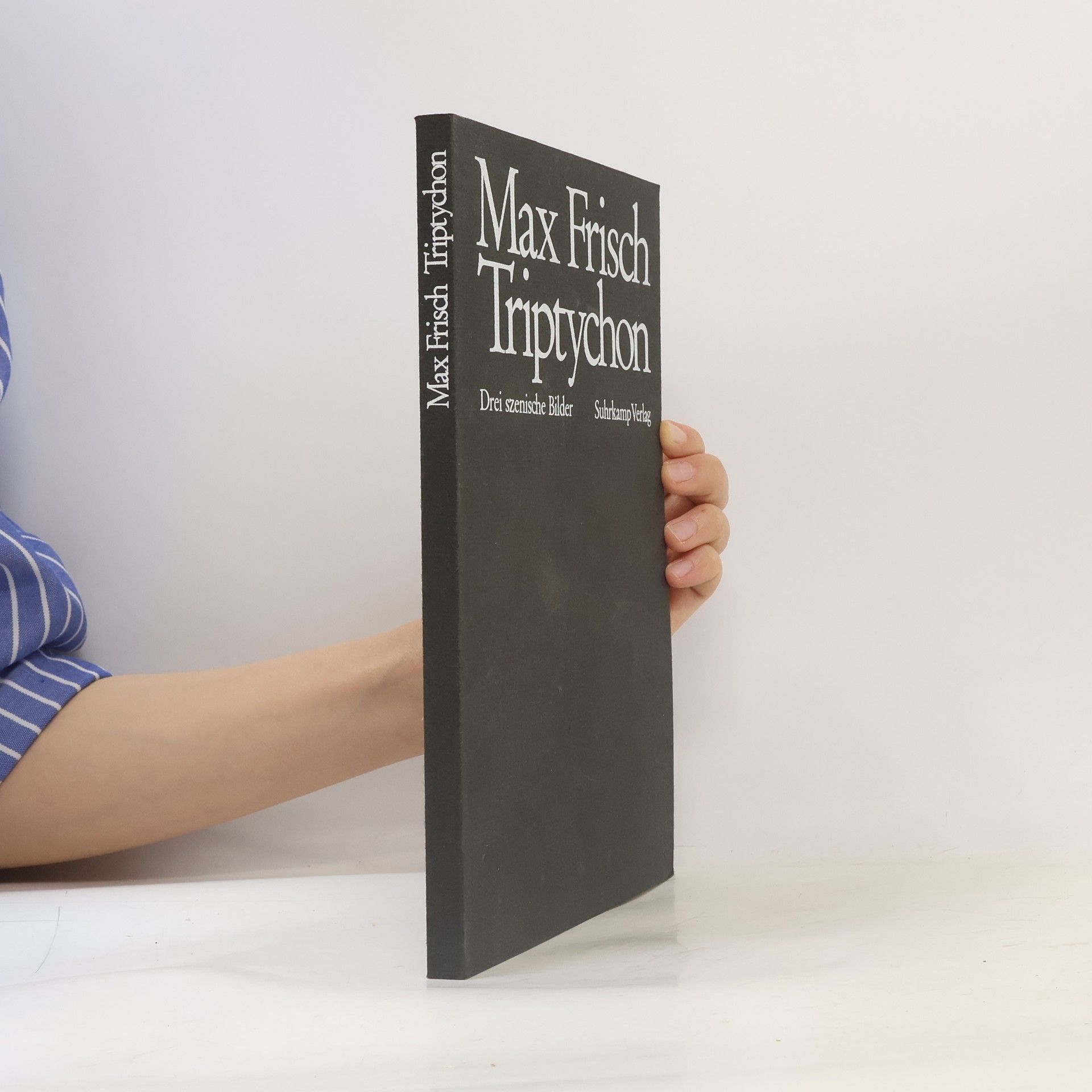 Max Frisch Triptychon
