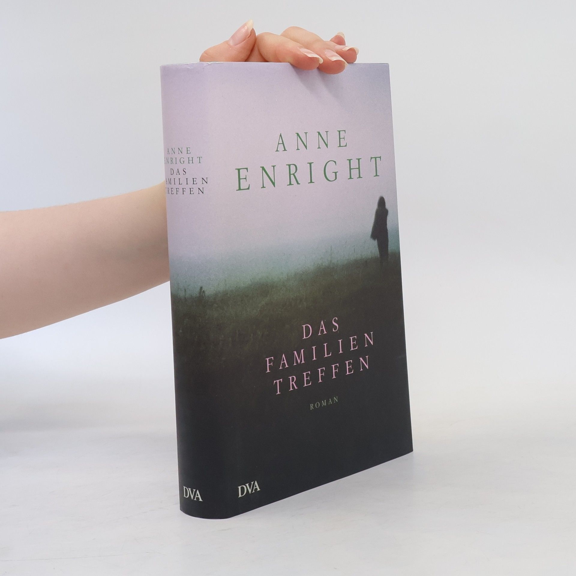 Anne Enright Das Familientreffen