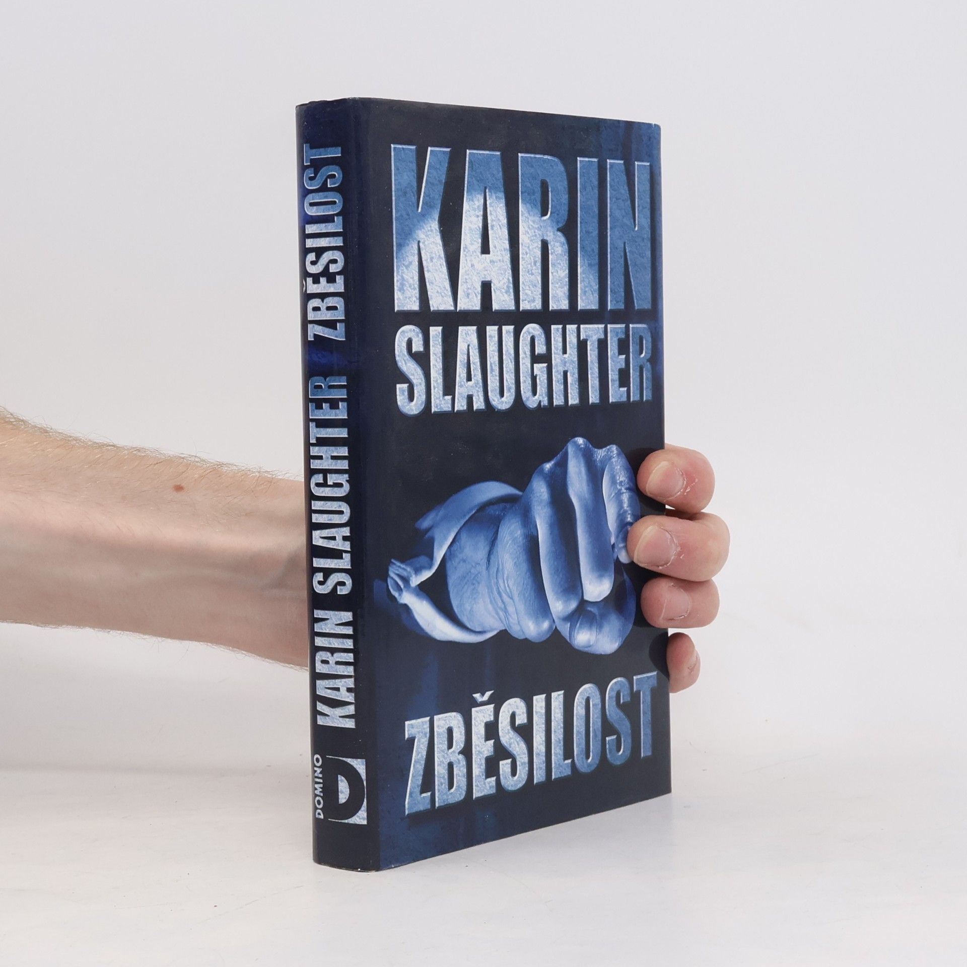 Karin Slaughter Zběsilost