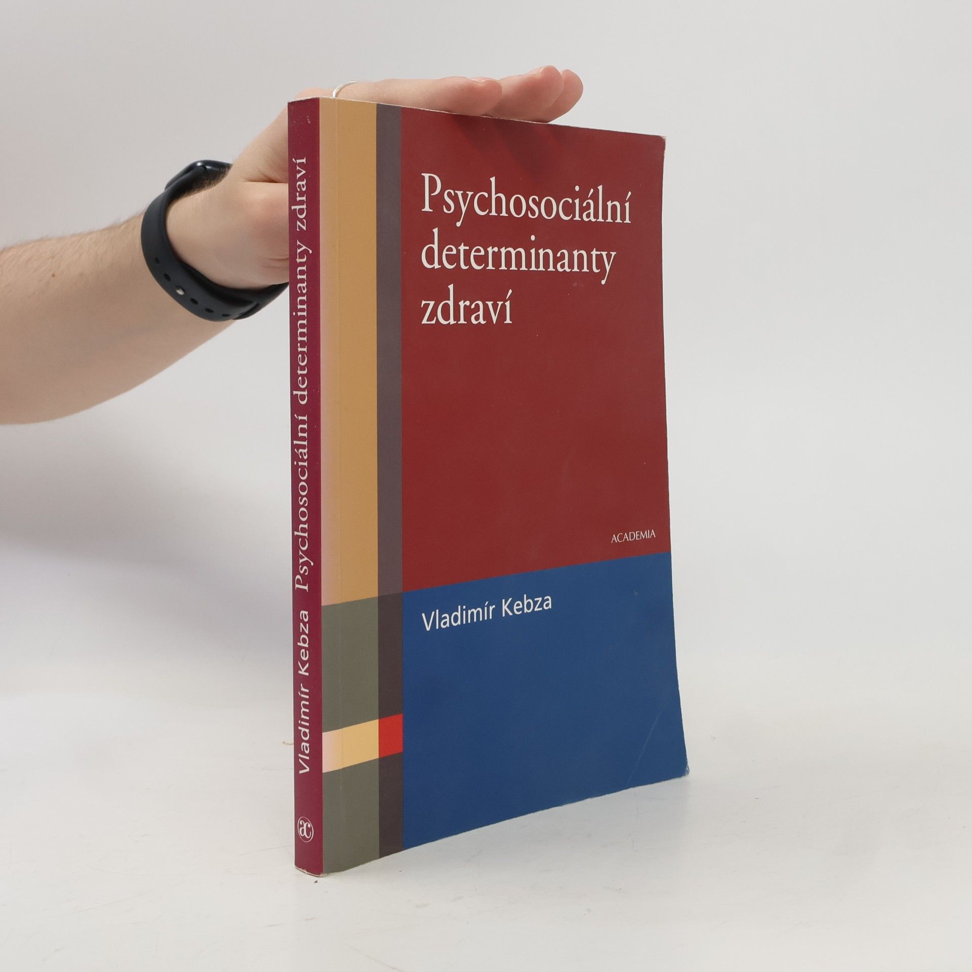Vladimír Kebza Psychosociální determinanty zdraví