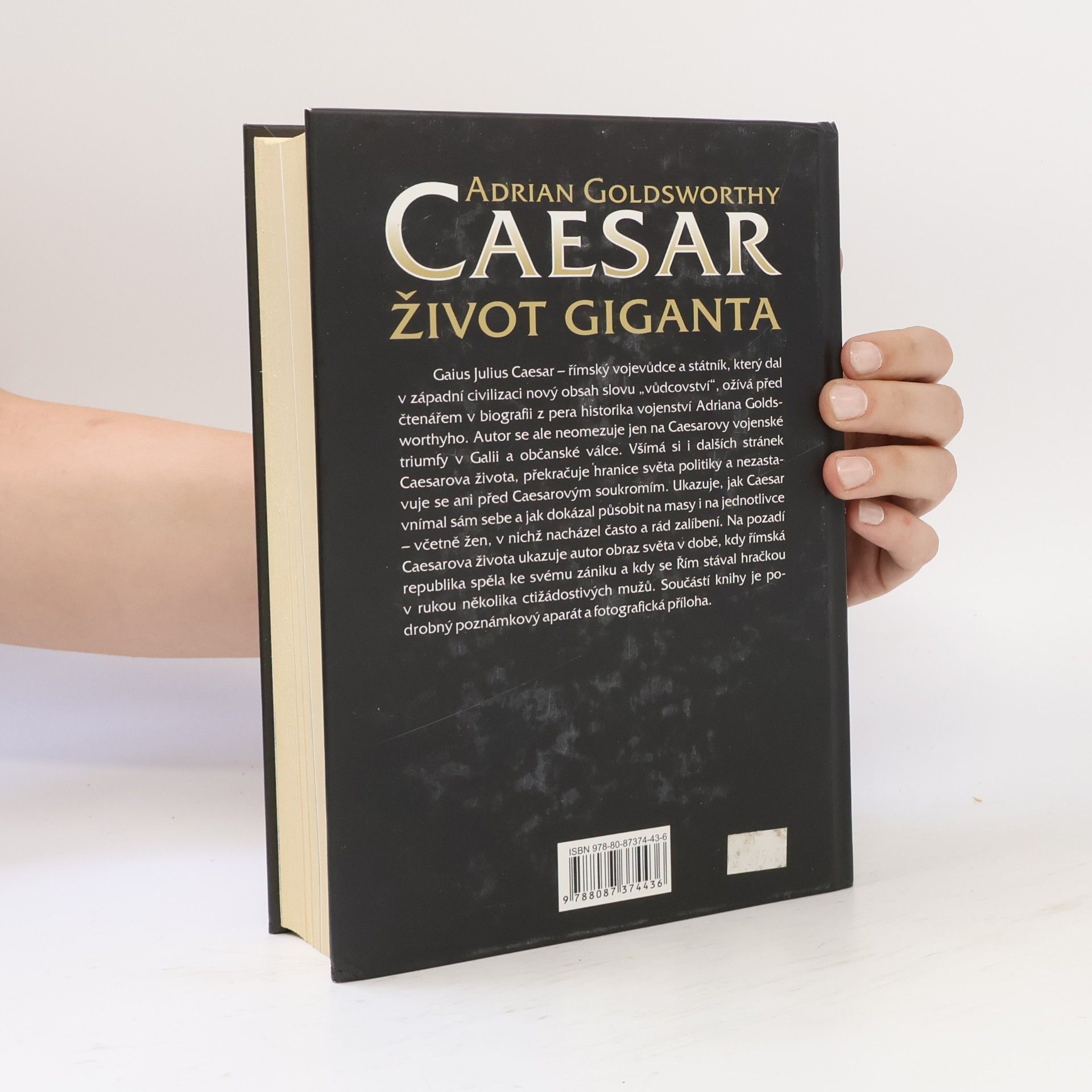 Adrian Goldsworthy Caesar: Život giganta