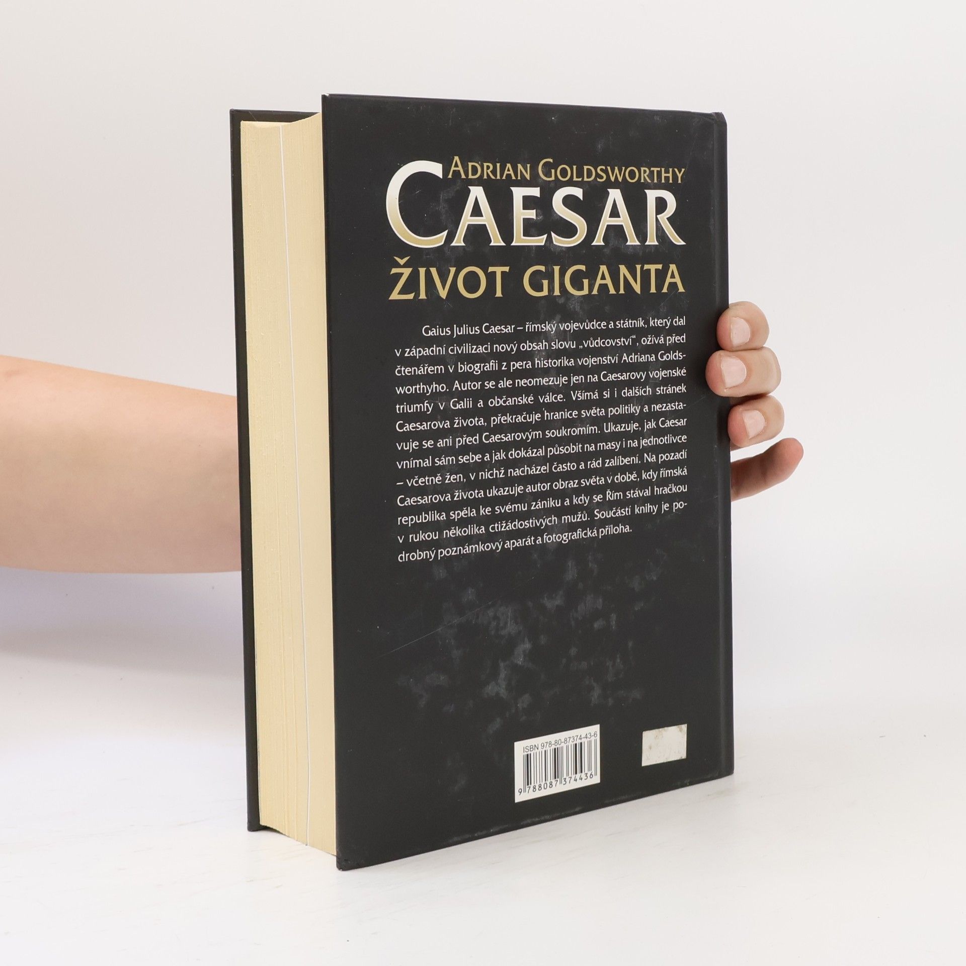 Adrian Goldsworthy Caesar: Život giganta
