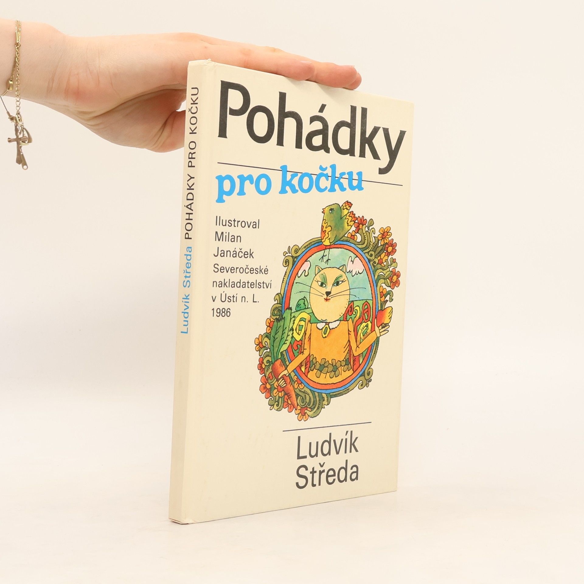 Ludvík Středa Pohádky pro kočku