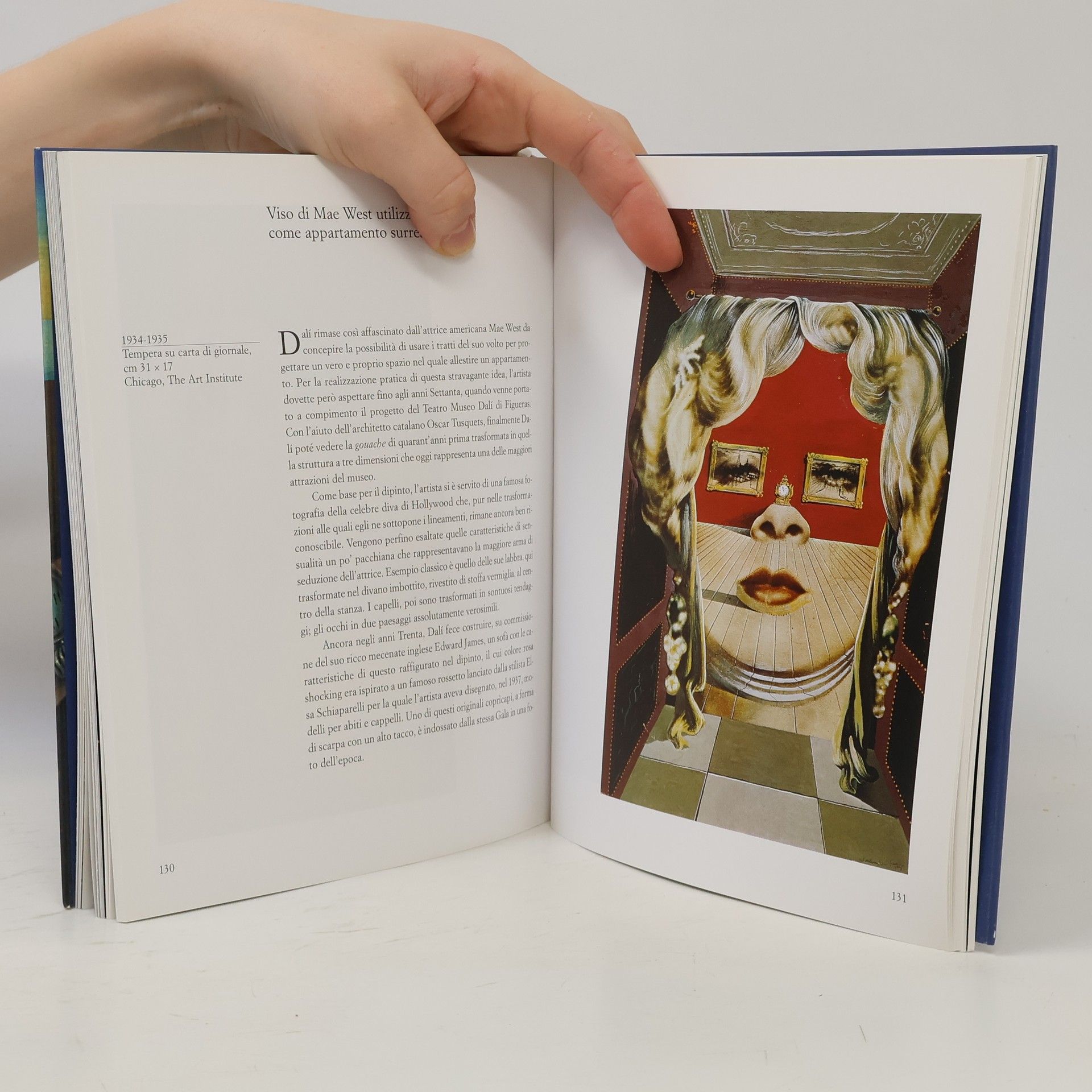 Autores varios I classici dell'arte - Il Novecento. Dalí