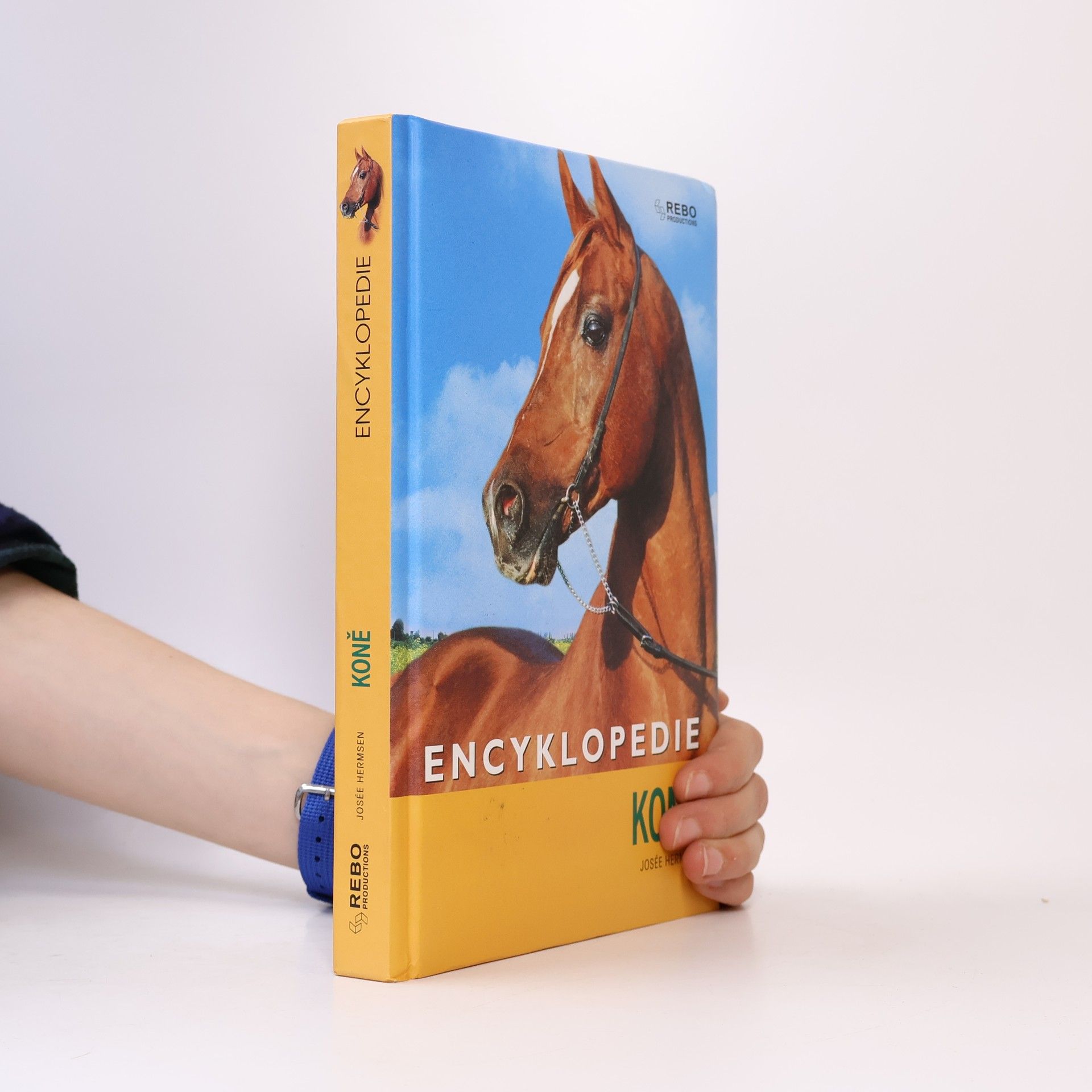 Kateřina Hlavová Koně : encyklopedie
