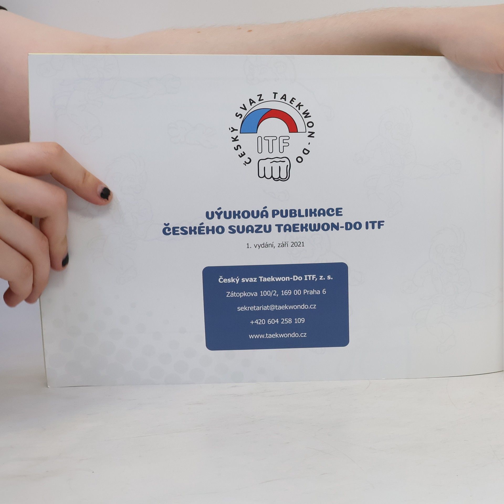 Kolektiv autorů Učím se taekwondo
