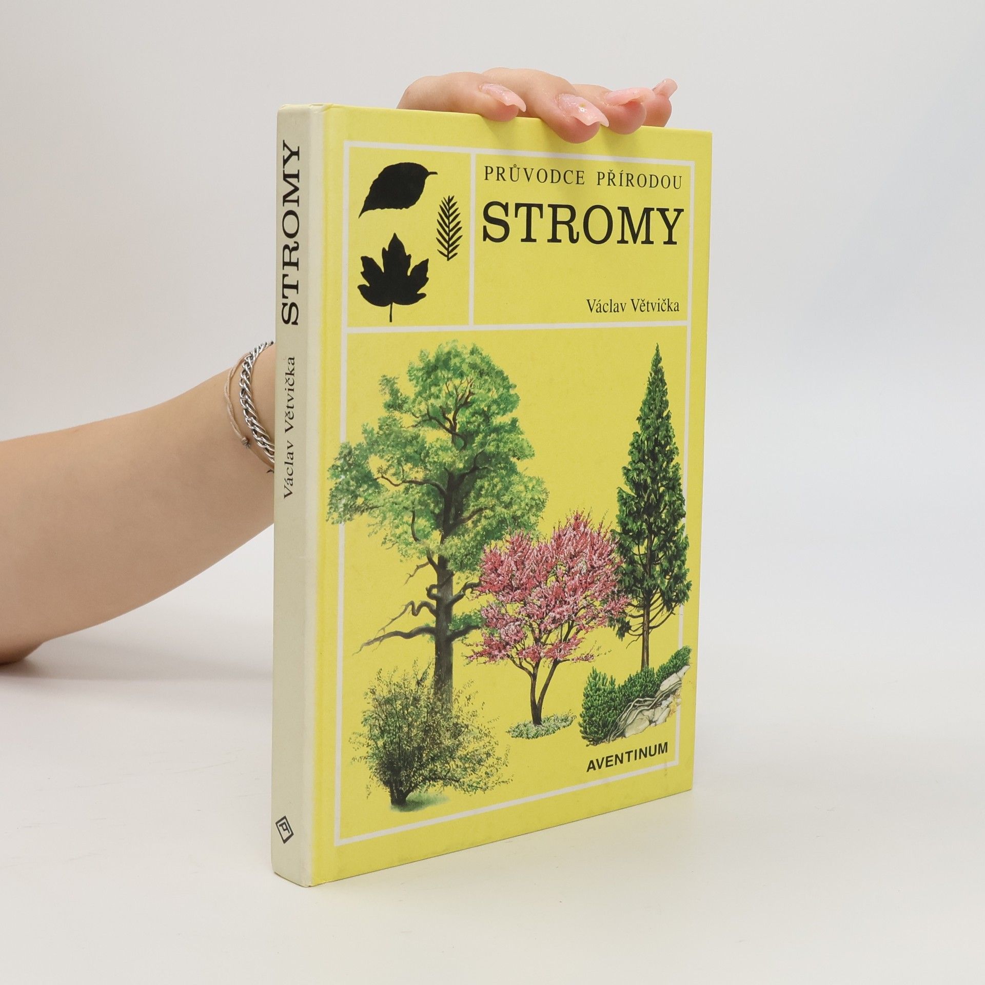 Václav Větvička Evropské stromy