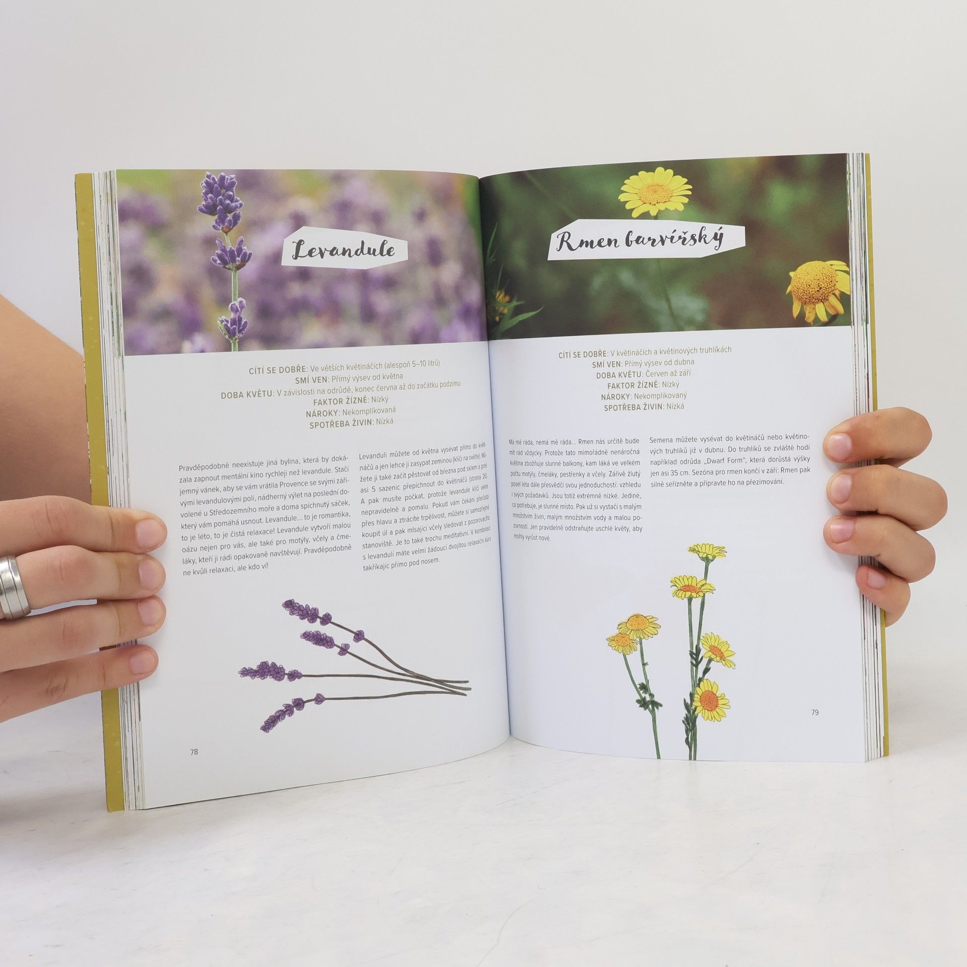 Various authors Fantastická zahrádka na balkoně