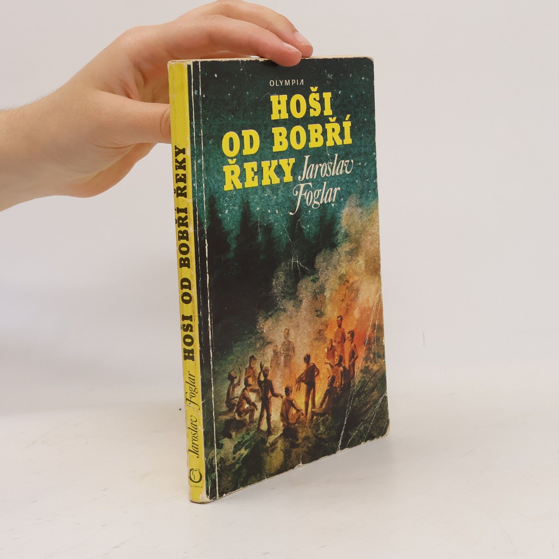 Jaroslav Foglar Hoši od Bobří řeky
