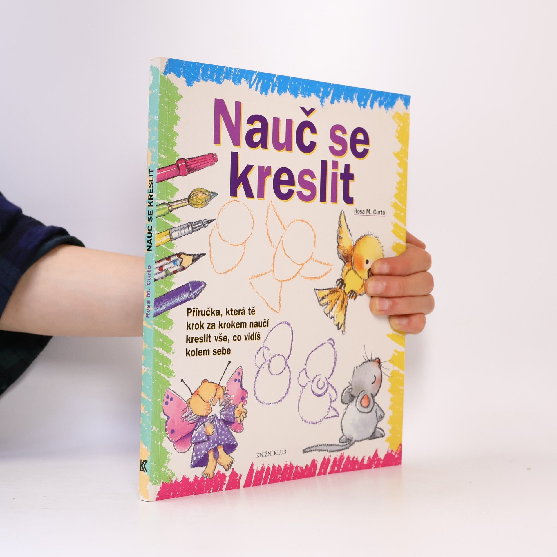 Rosa María Curto Nauč se kreslit