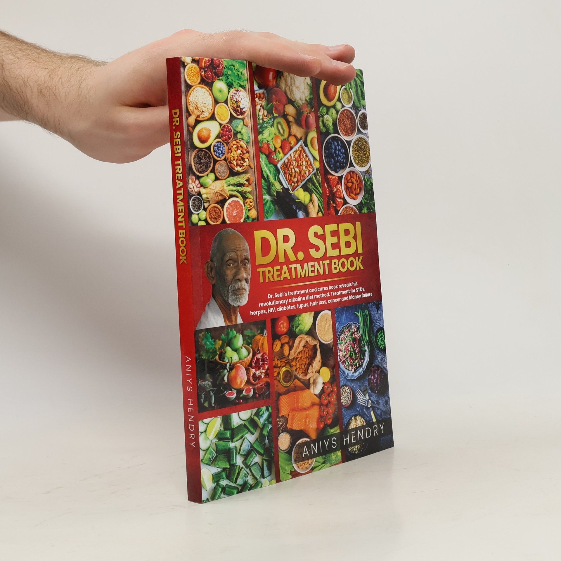Aniys Hendry Dr. Sebi's Treatment Book