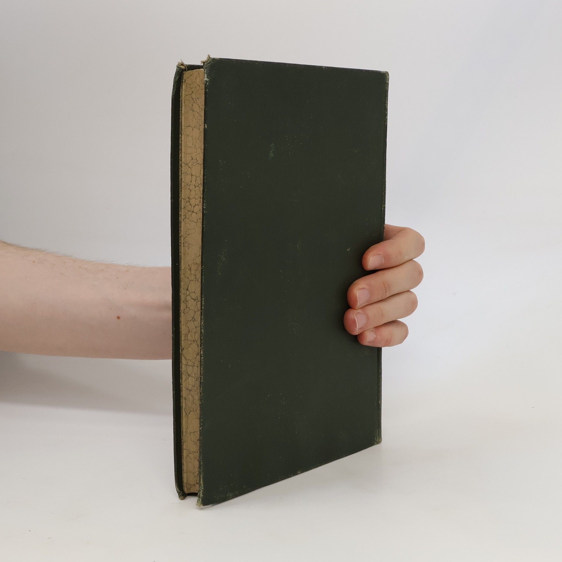 Louise Seleskowitz Wiener Kochbuch