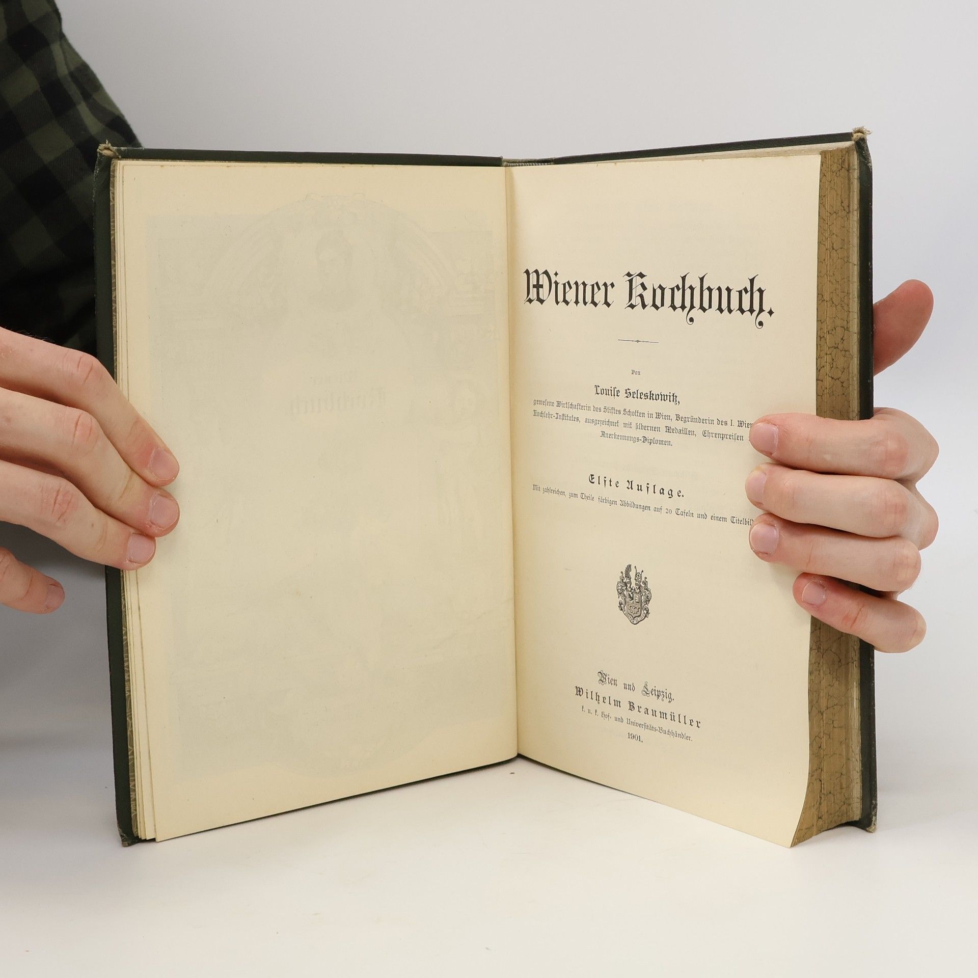 Louise Seleskowitz Wiener Kochbuch