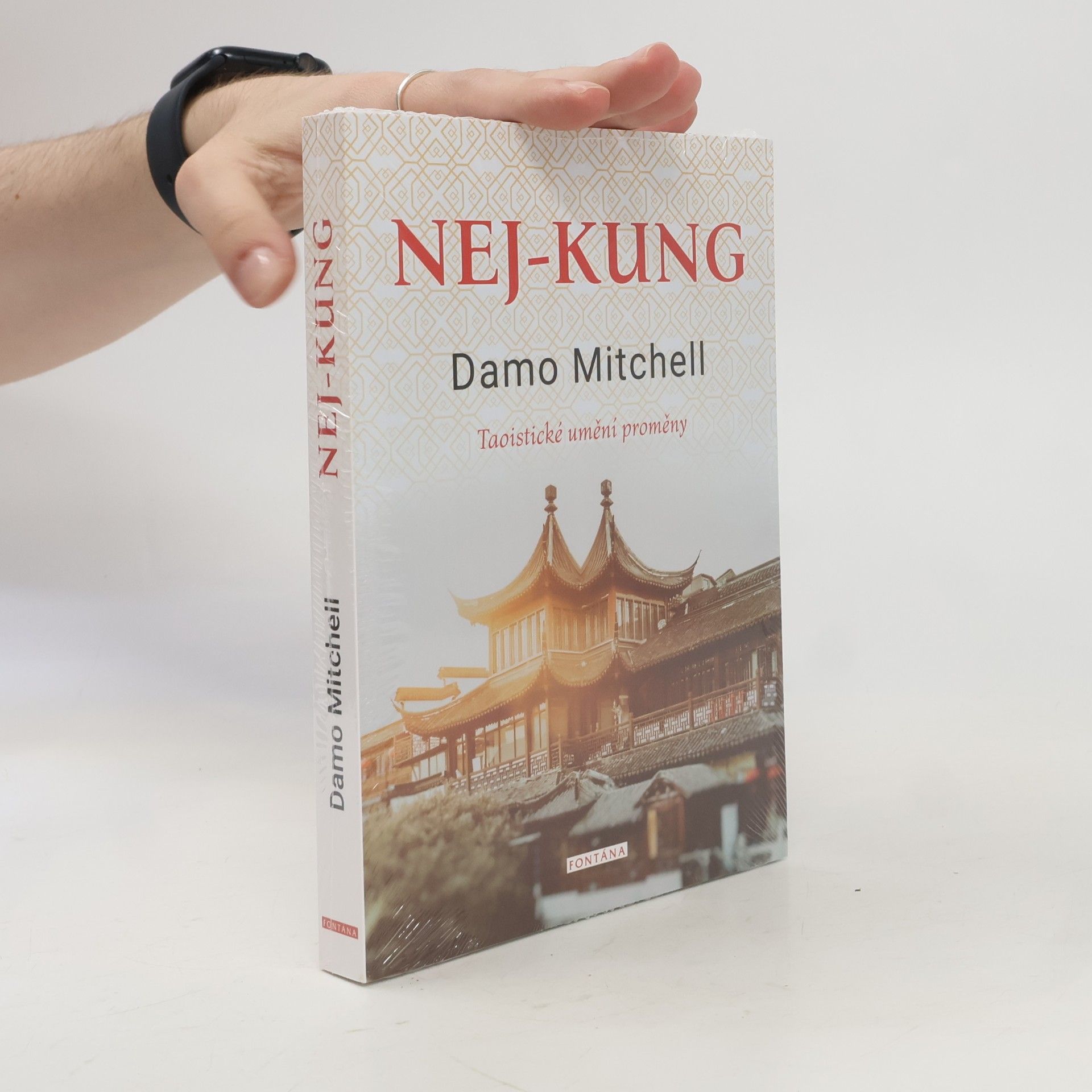 Damo Mitchell Nej-kung - Taoistické umění proměny