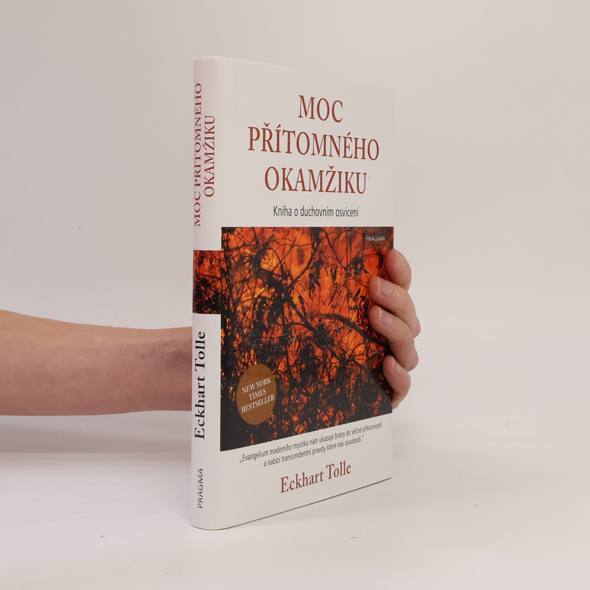 Eckhart Tolle Moc přítomného okamžiku