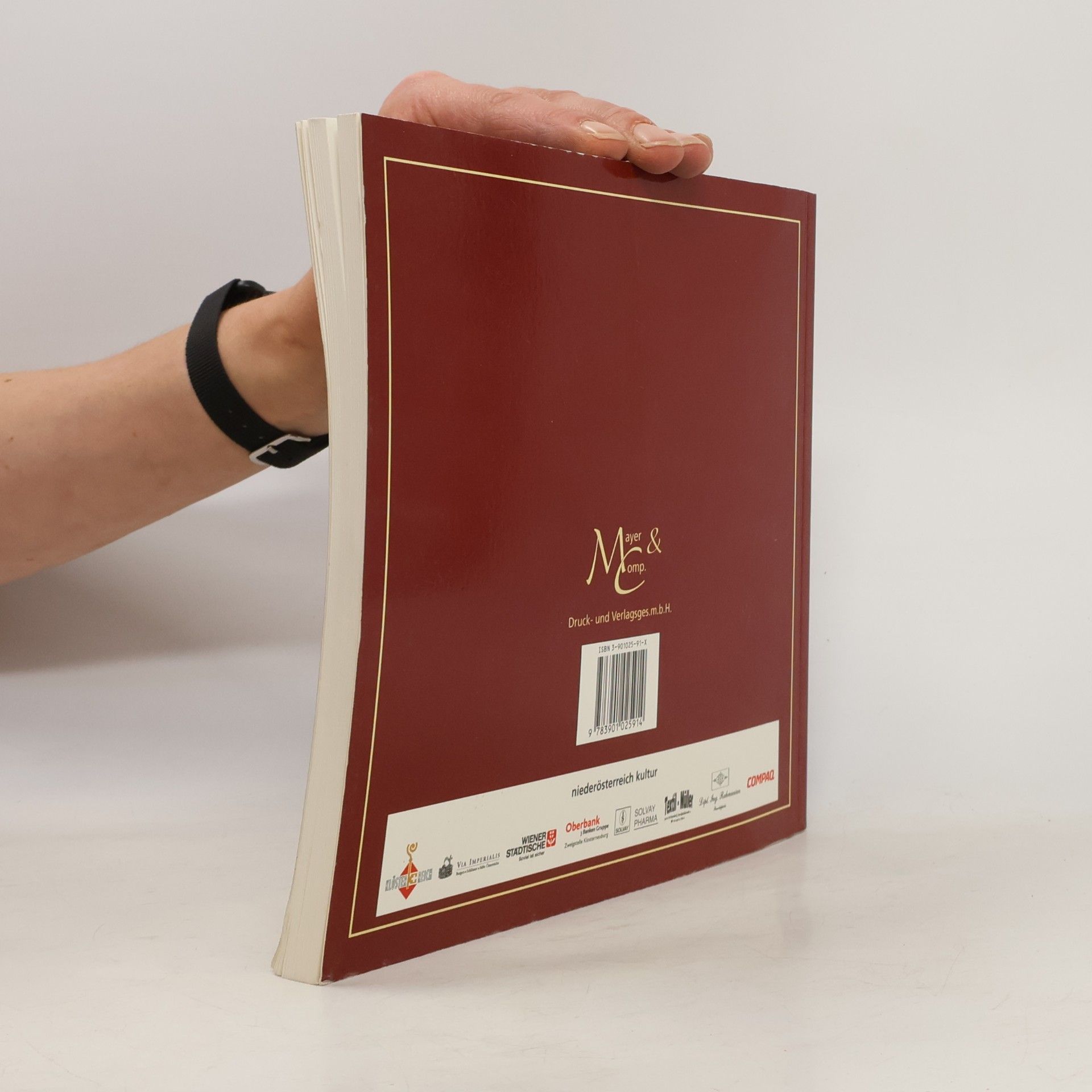 Autores varios Zeichenstein und Wunderbaum