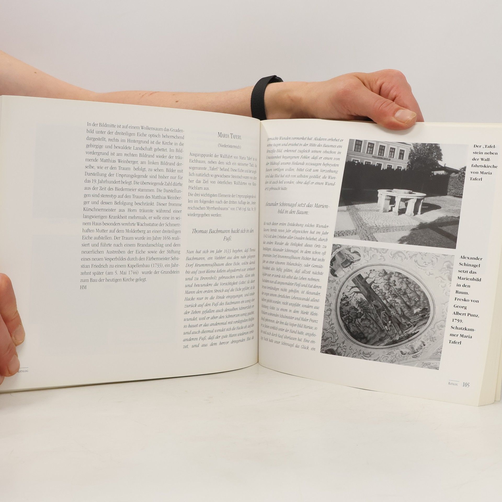 Autores varios Zeichenstein und Wunderbaum