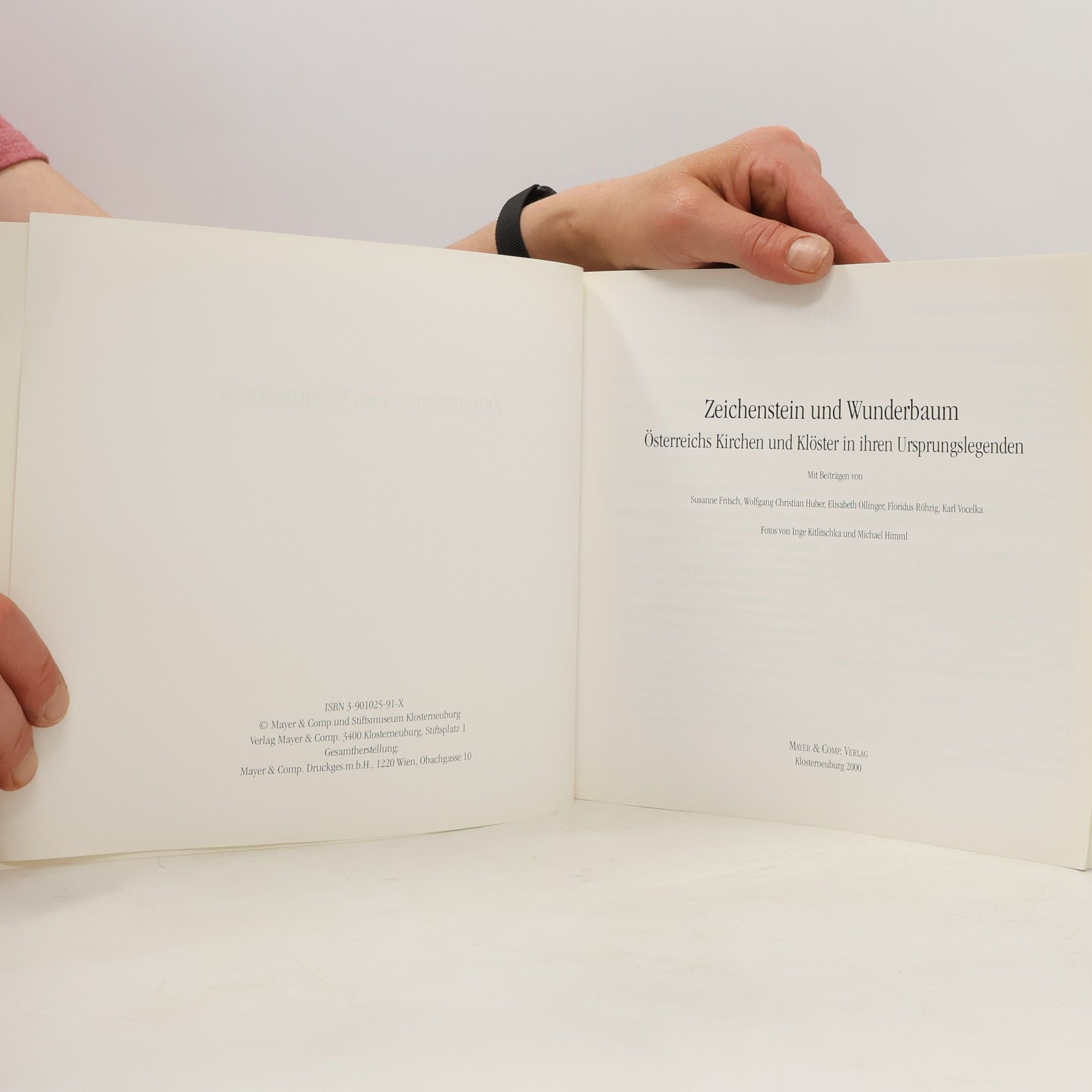 Autores varios Zeichenstein und Wunderbaum