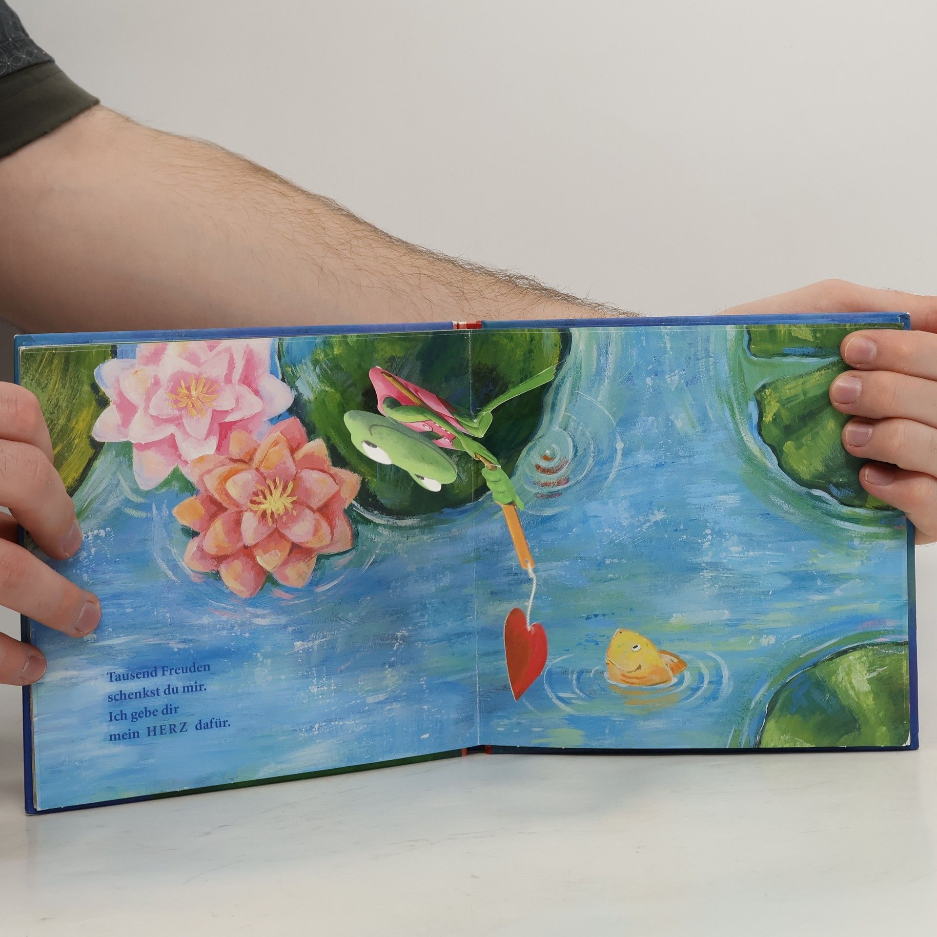 Rosemarie Künzler-Behncke Immer für dich da! Geschenkbuch