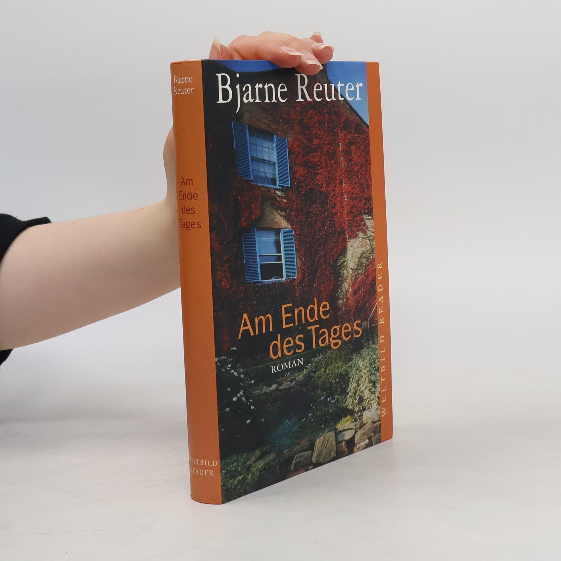 Bjarne Reuter Am Ende des Tages