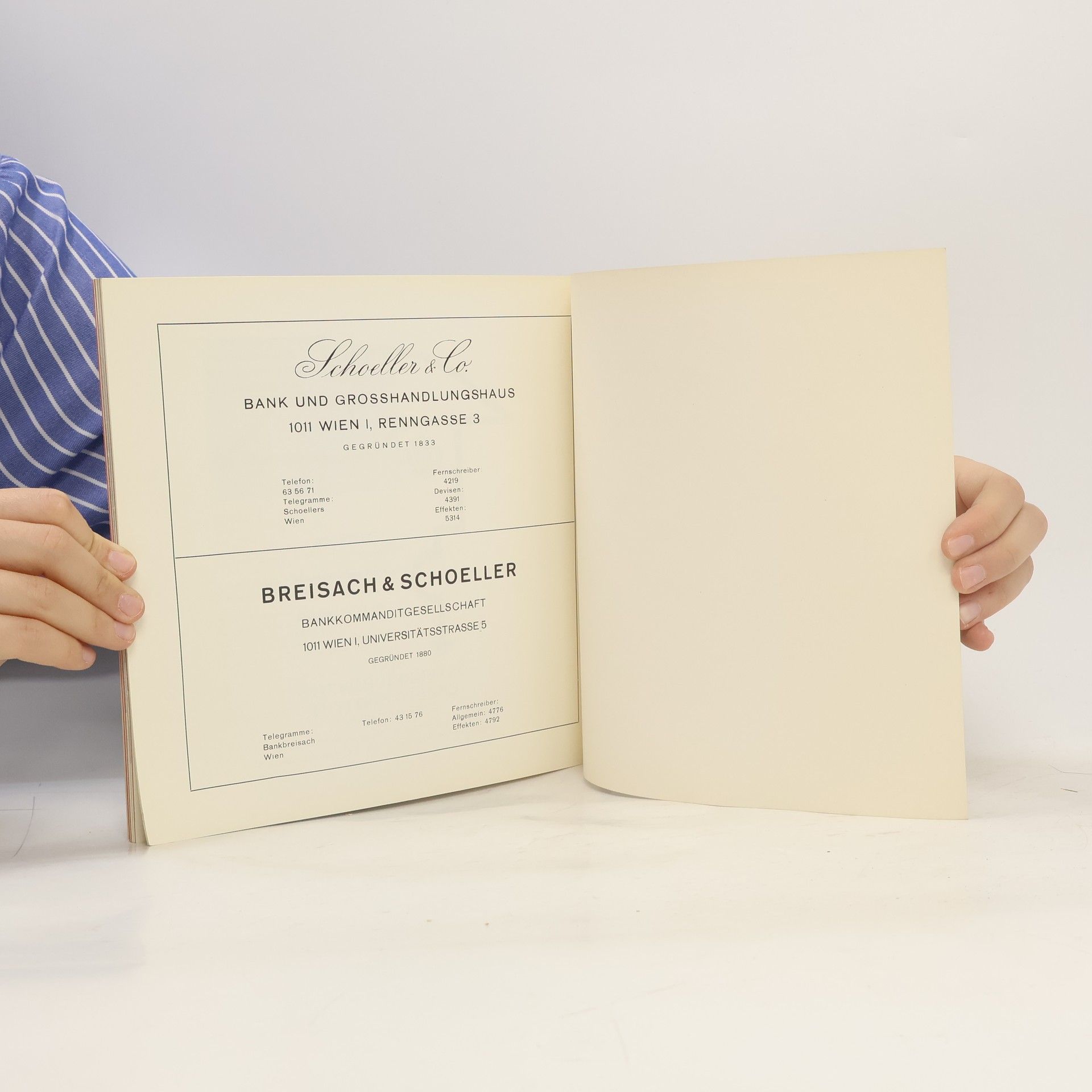 Autorenkollektiv Die Entwicklung der Wiener Schule