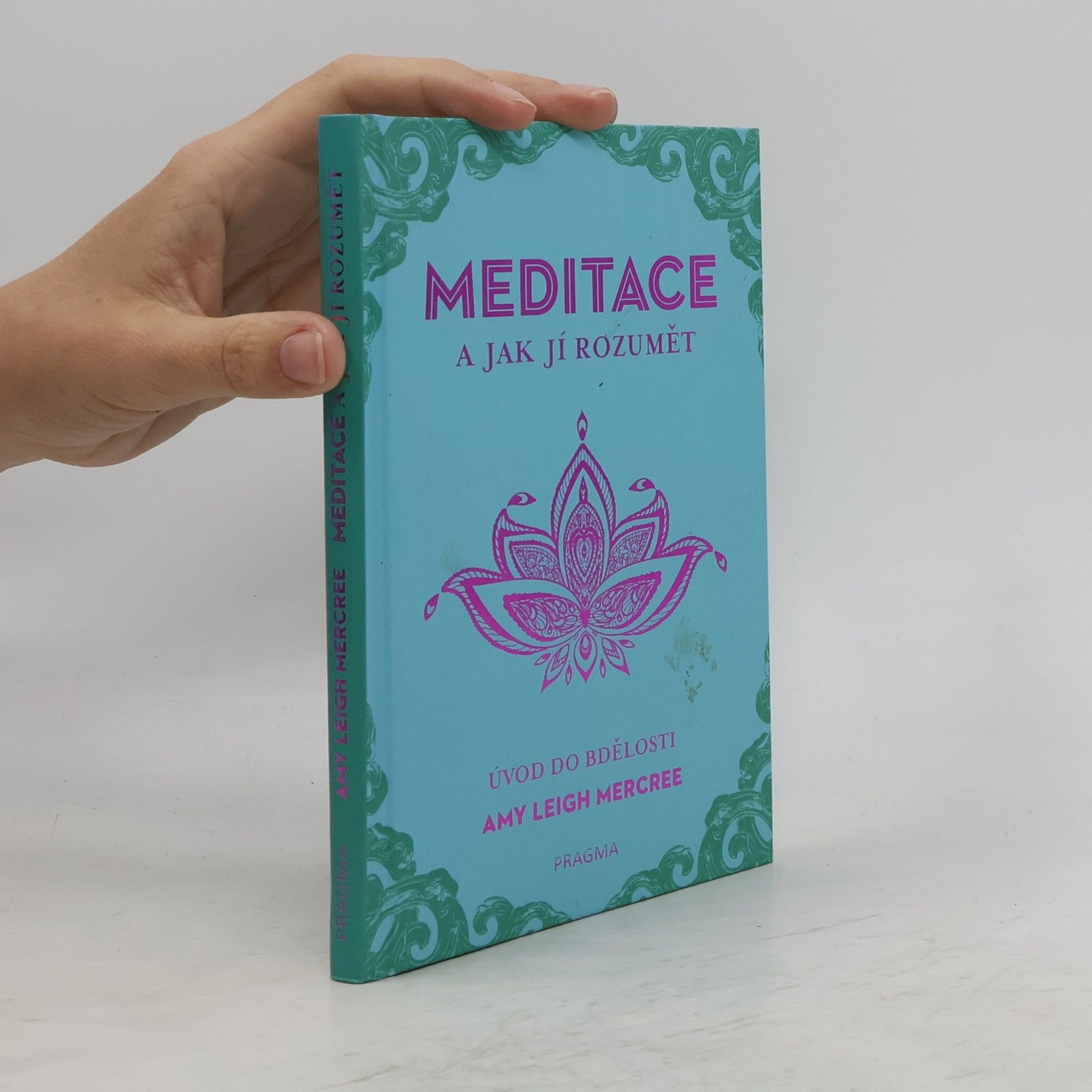 Amy Leigh Mercree Meditace a jak jí rozumět - Úvod do bdělosti